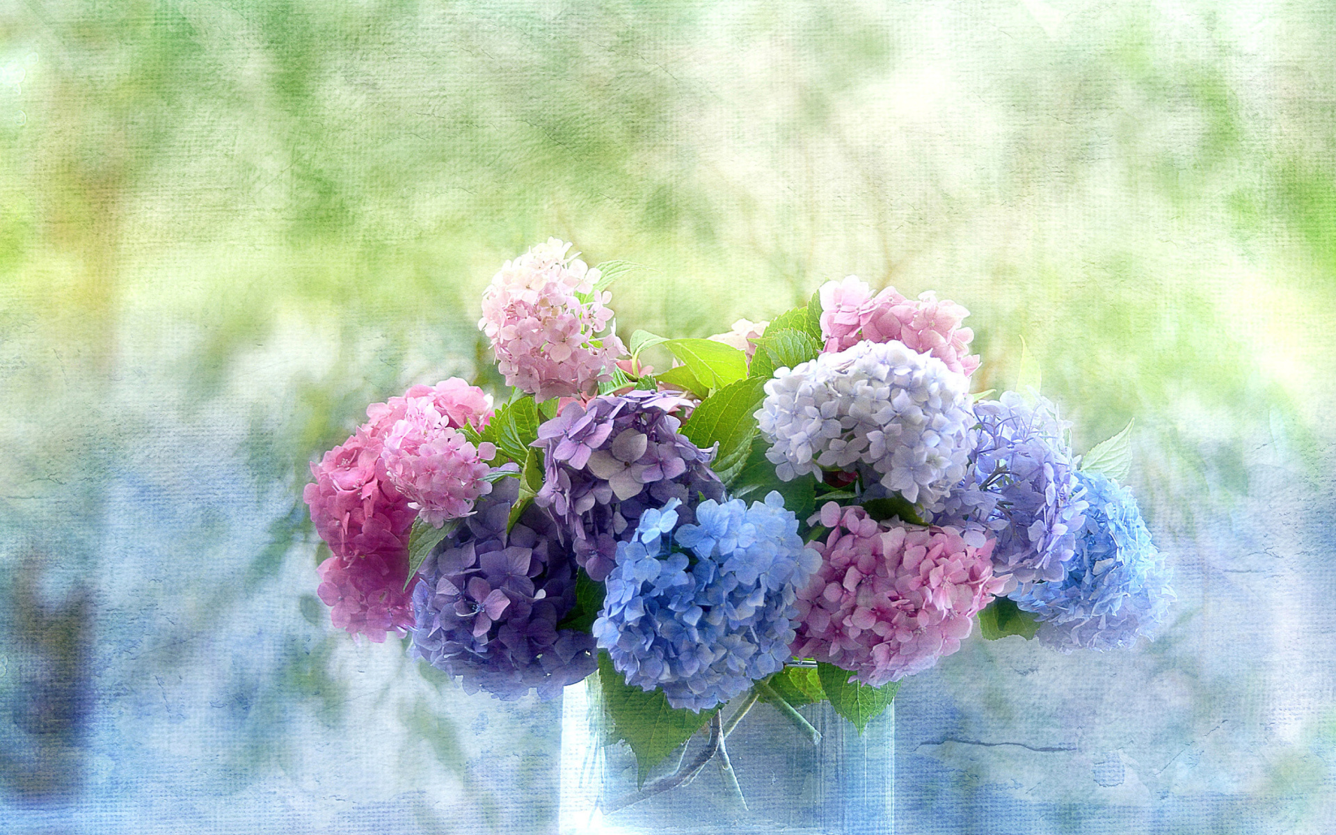 Laden Sie das Blume, Vase, Hortensien, Lila Blume, Menschengemacht, Pinke Blume, Blaue Blume-Bild kostenlos auf Ihren PC-Desktop herunter