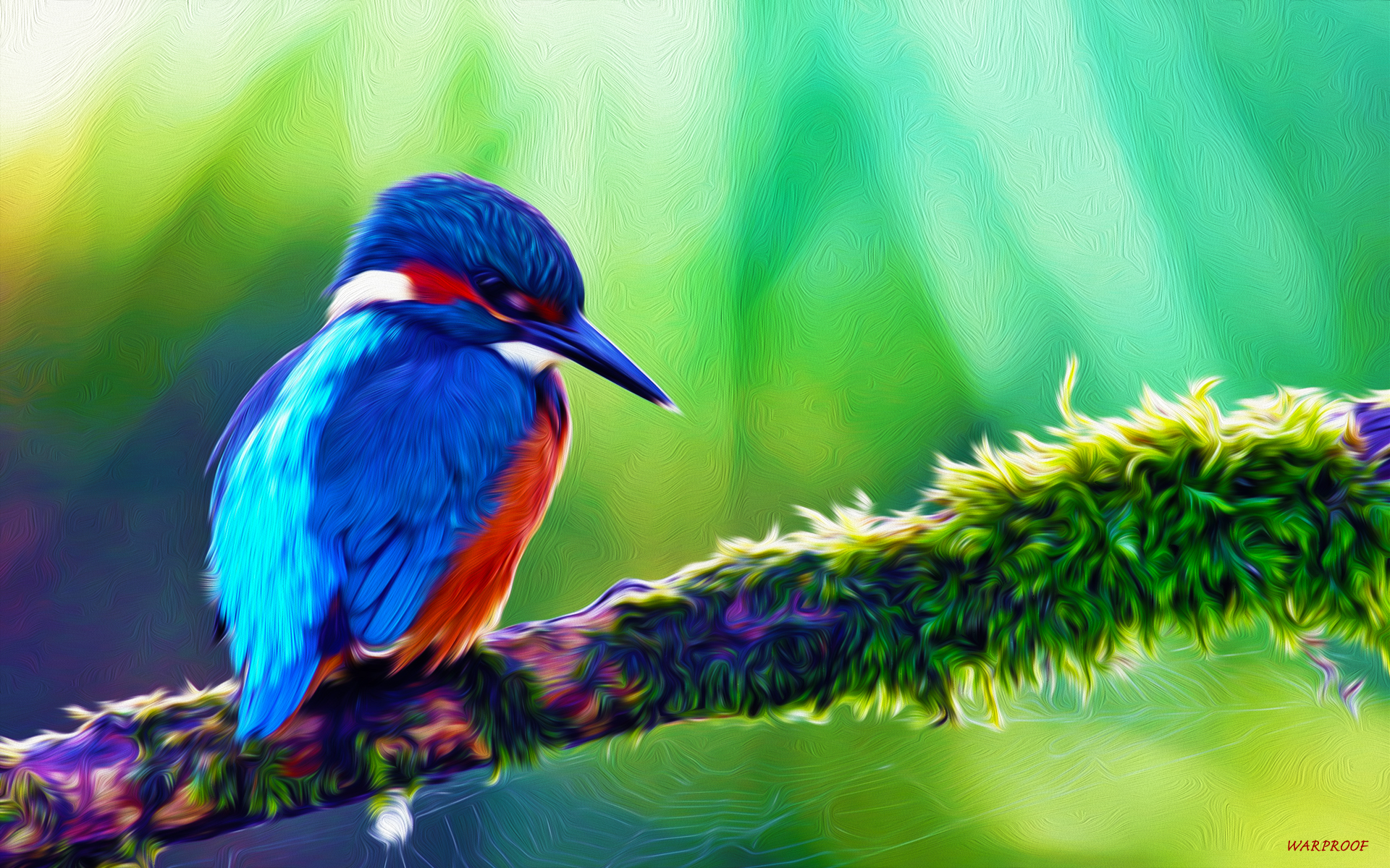 Laden Sie das Tiere, Vögel, Eisvogel-Bild kostenlos auf Ihren PC-Desktop herunter