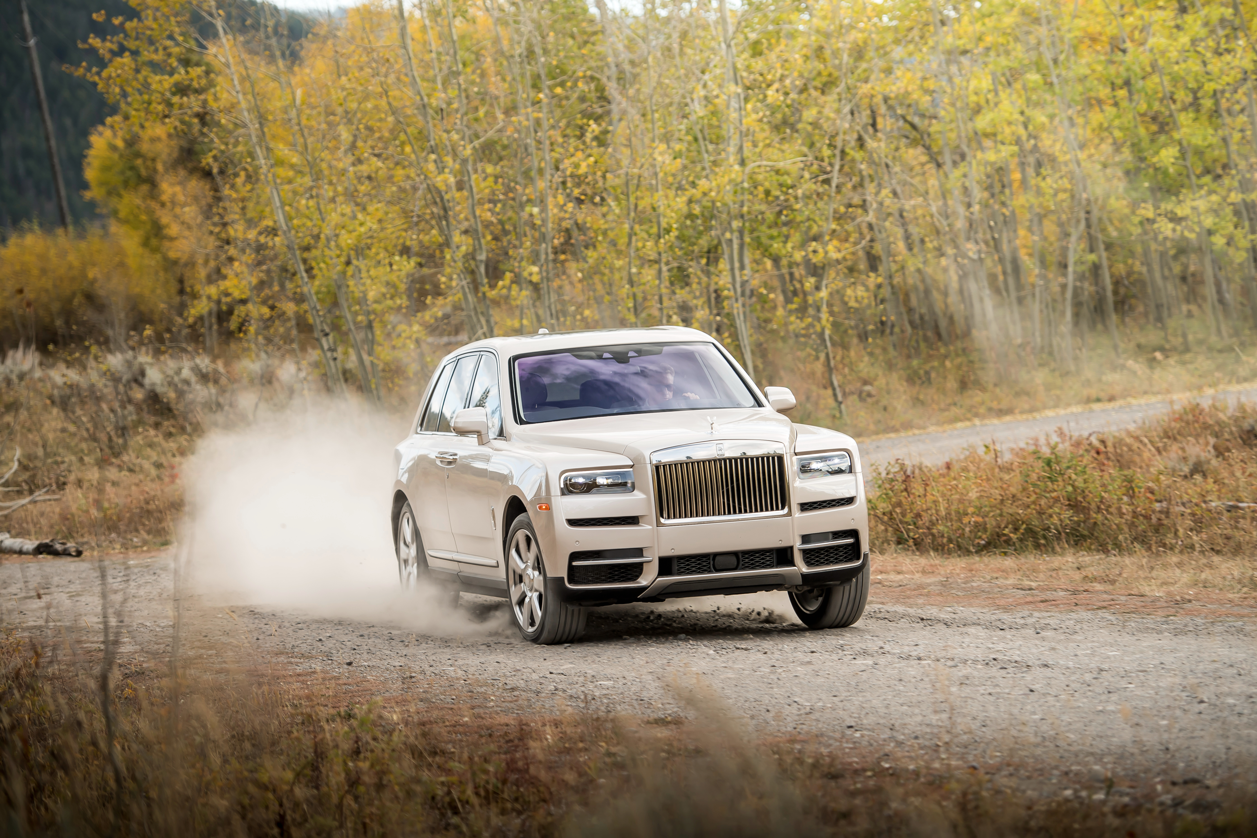 Download mobile wallpaper Rolls Royce, Suv, Vehicles, Rolls Royce Cullinan for free.