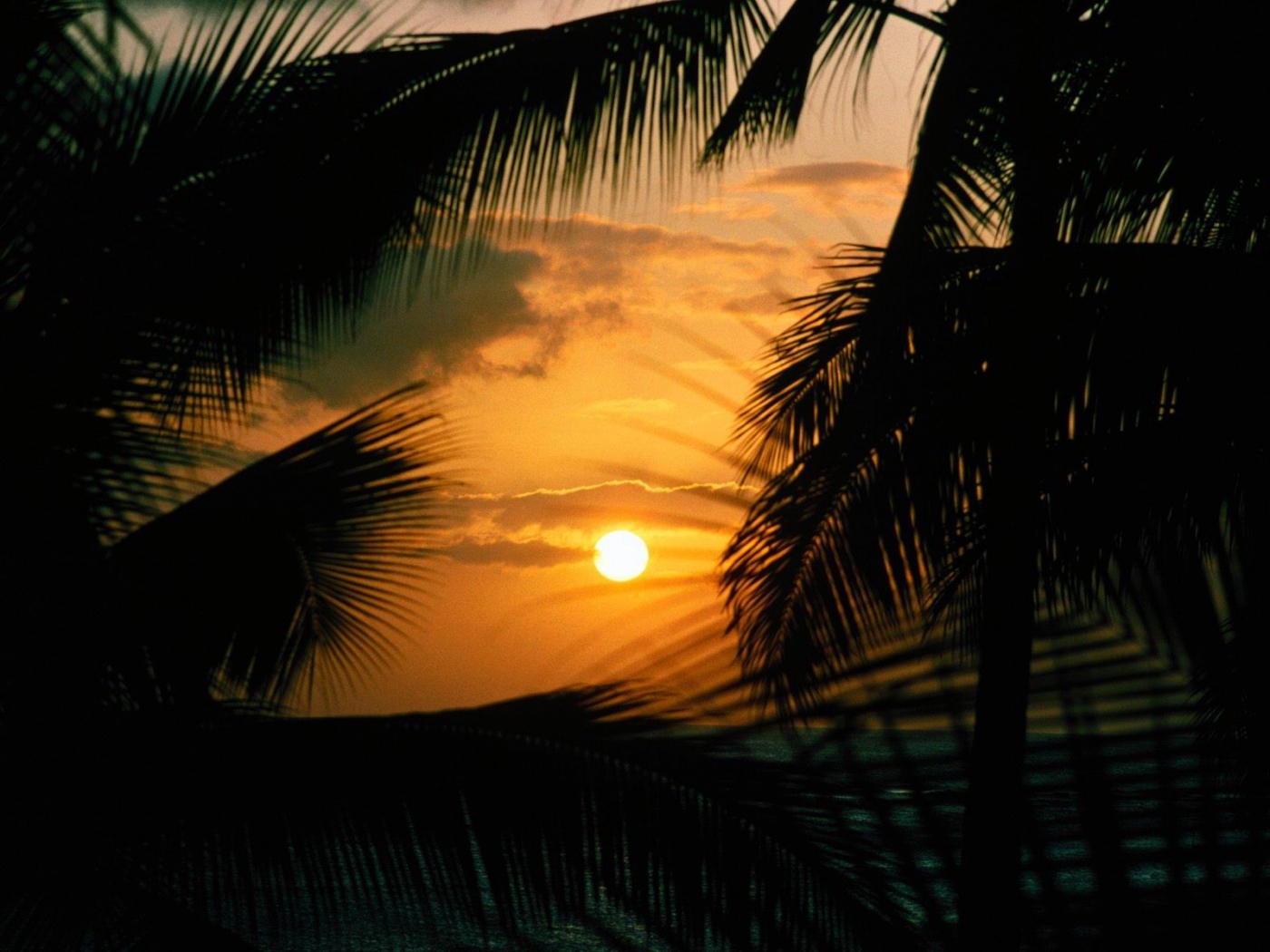 Laden Sie das Sunset, Palms, Landschaft-Bild kostenlos auf Ihren PC-Desktop herunter