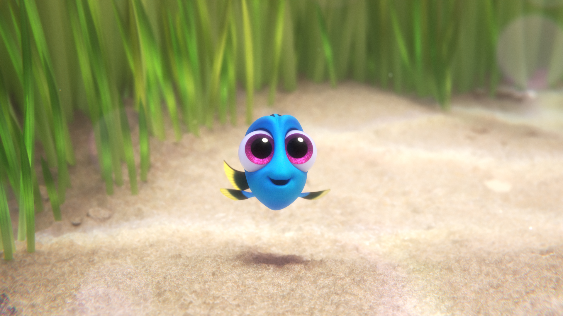 769136 télécharger le fond d'écran film, le monde de dory, dory (le monde de nemo) - économiseurs d'écran et images gratuitement