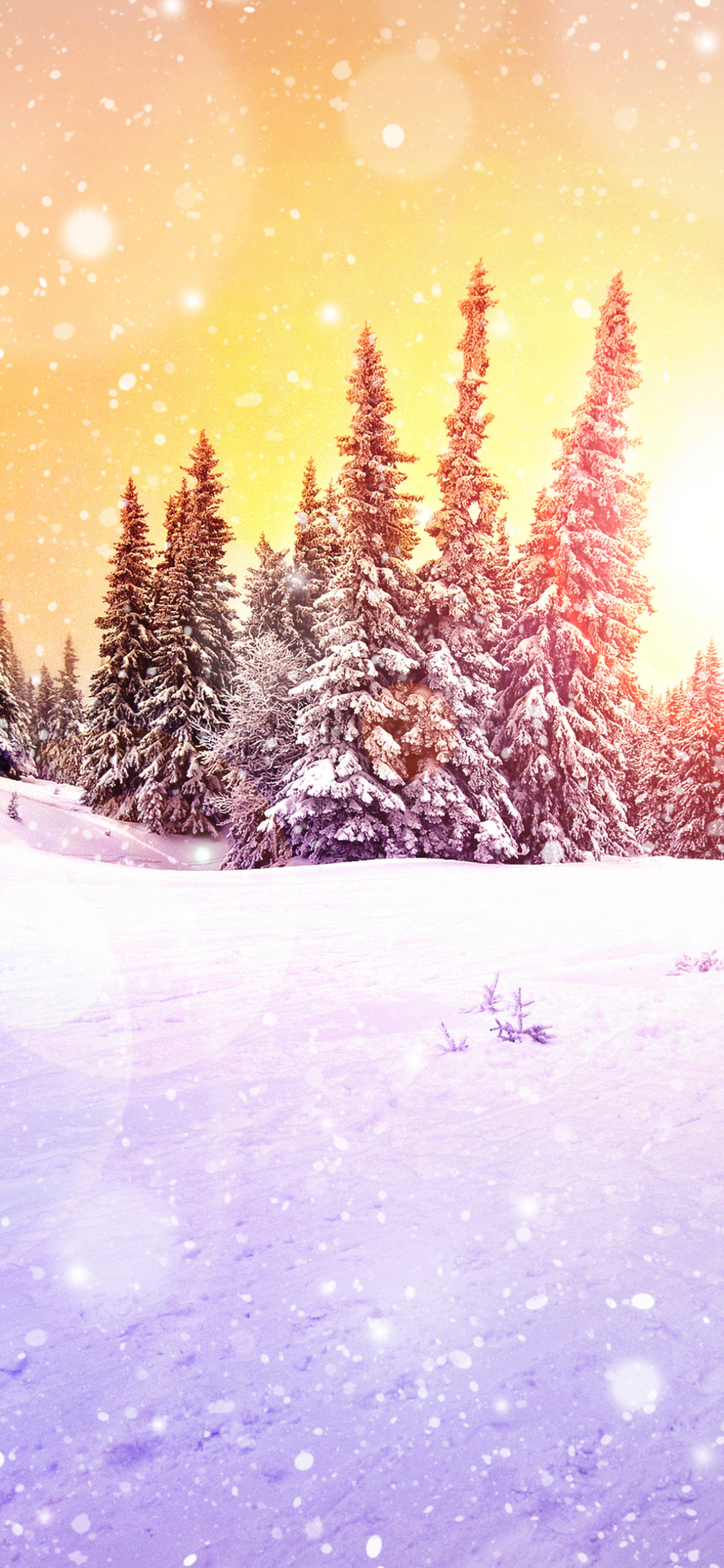 Download mobile wallpaper Winter, Earth for free.