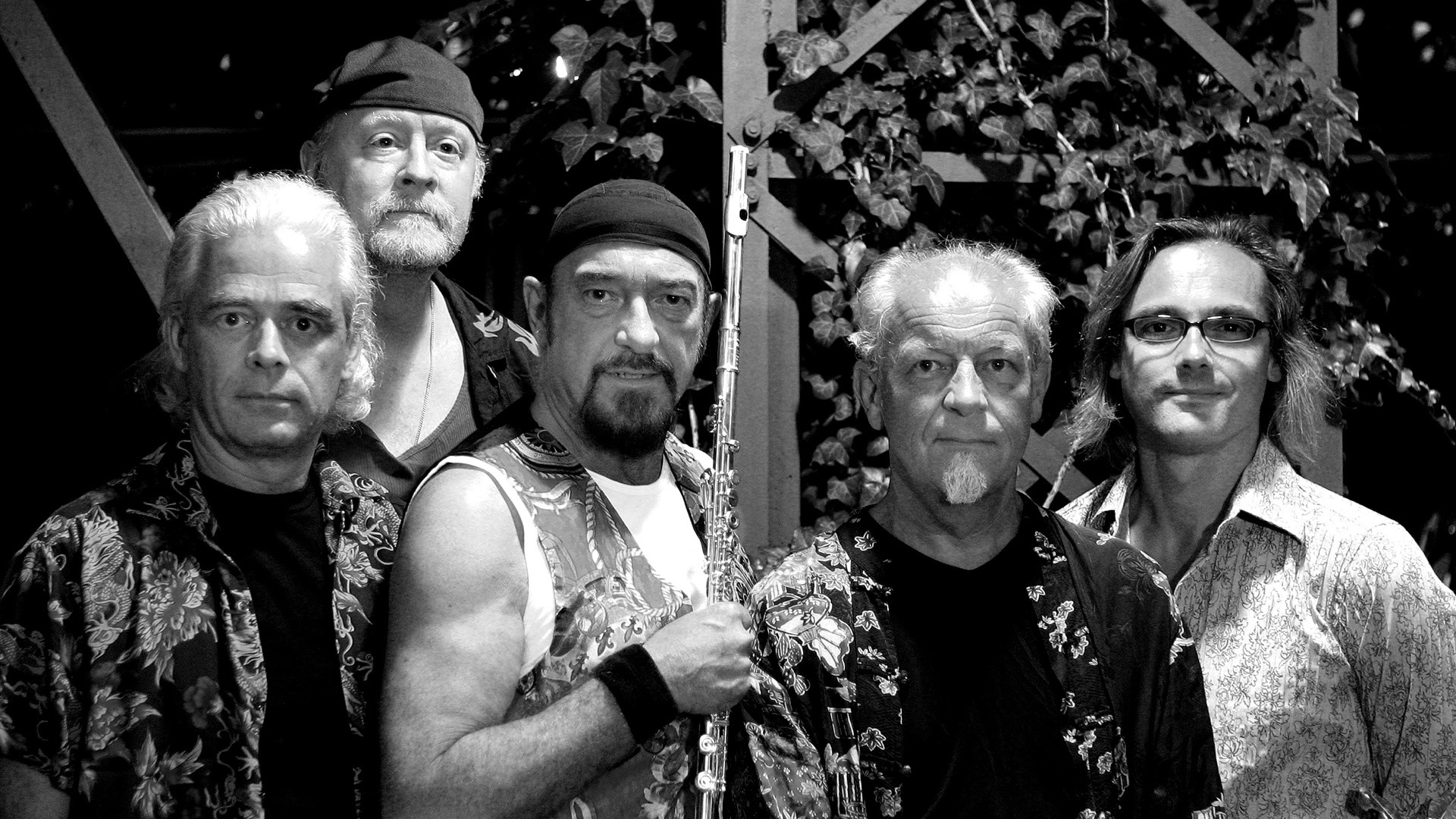 Free download wallpaper Music, Classic Rock, Jethro Tull on your PC desktop
