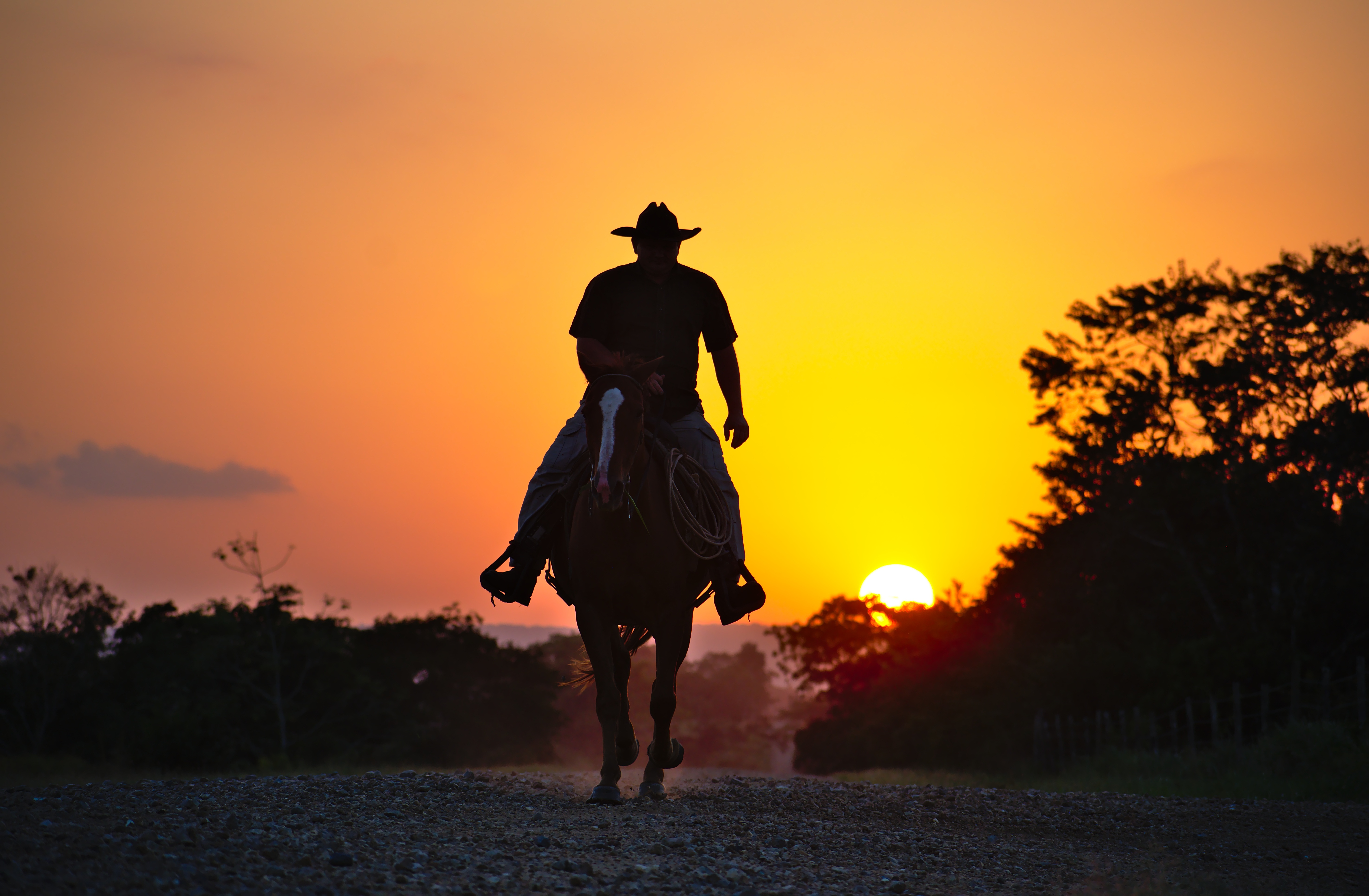 Download mobile wallpaper Sunset, Silhouette, Horse, Photography, Cowboy for free.