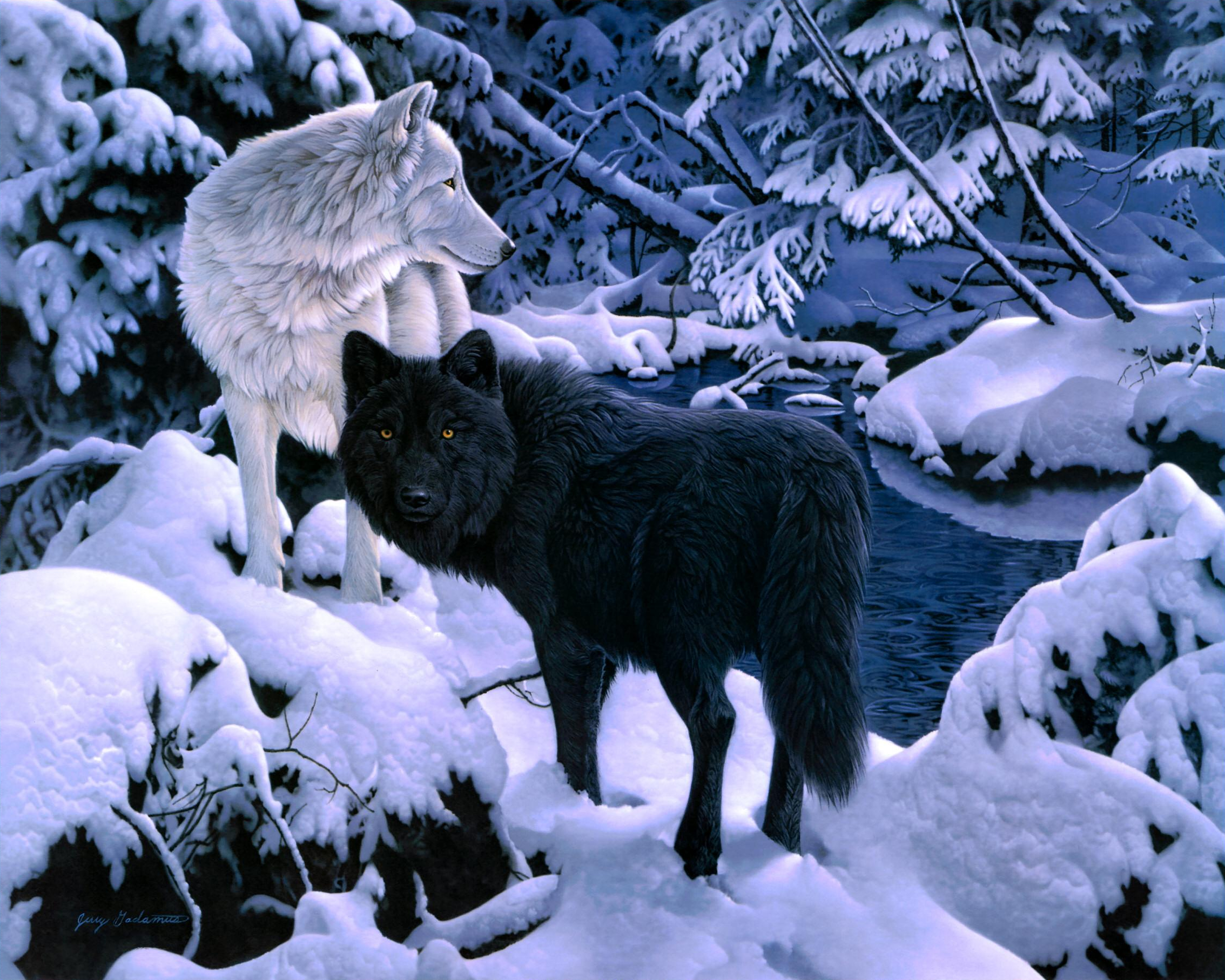 snow, winter, wolves, animal, wolf desktop HD wallpaper