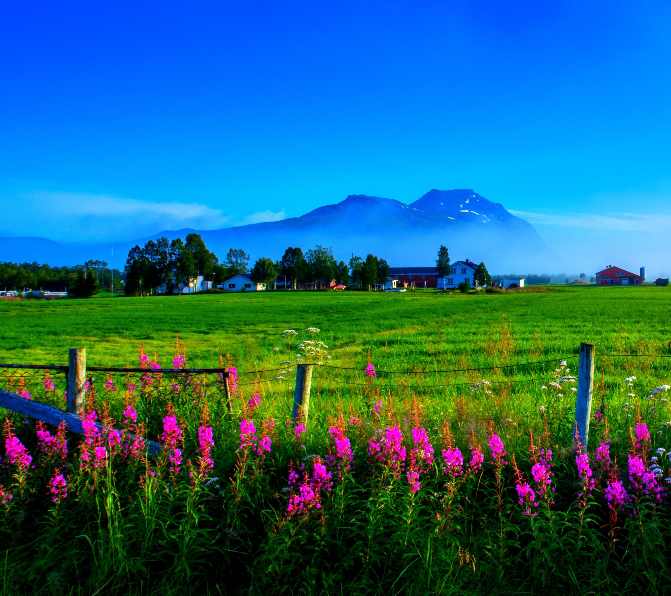 Free download wallpaper Landscape, Grass, Flower, Earth, Field, Fence, Spring, Photography on your PC desktop
