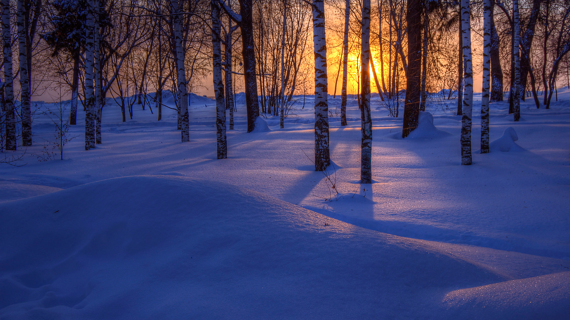Download mobile wallpaper Winter, Nature, Sunset, Snow, Tree, Earth for free.