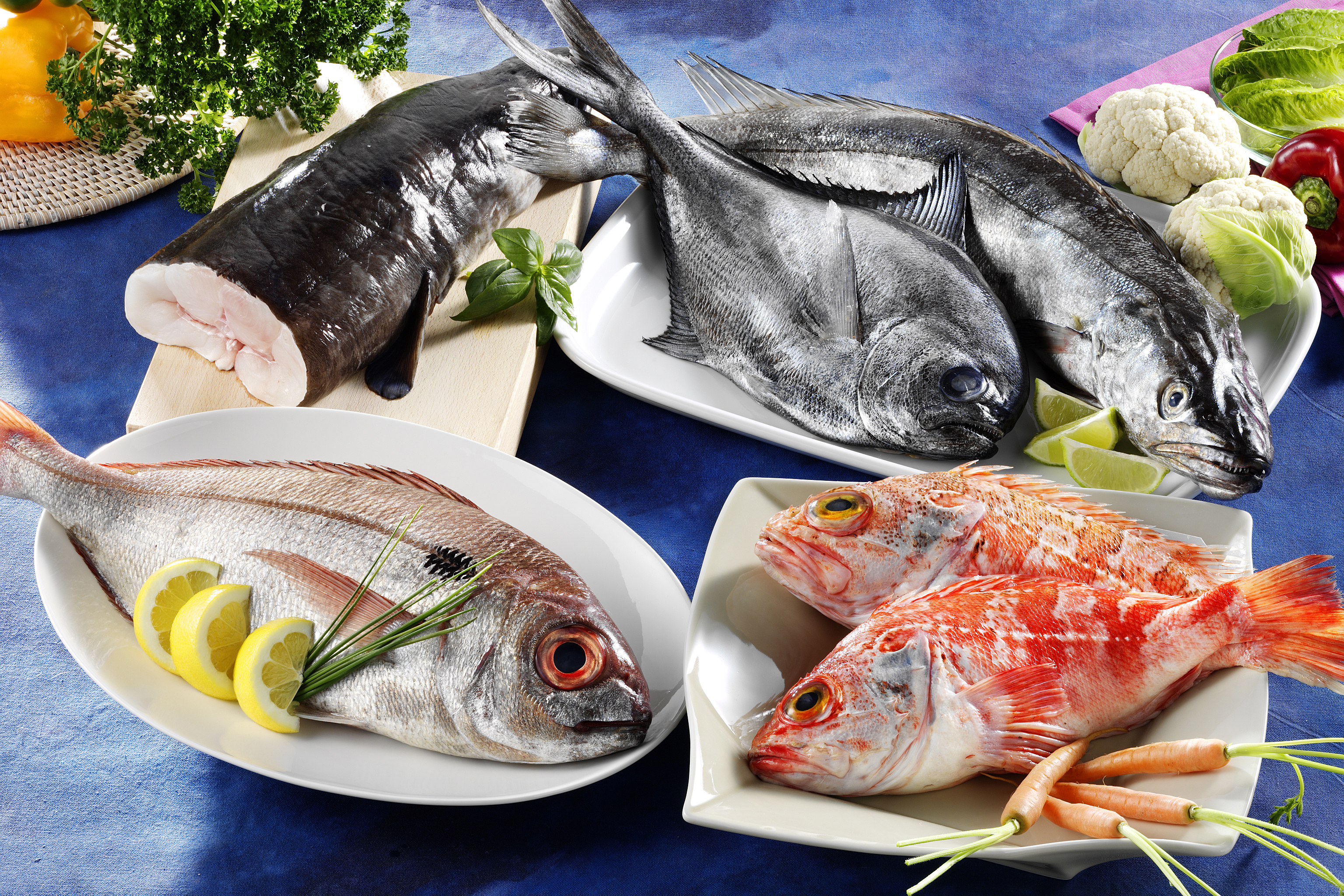 Download mobile wallpaper Food, Still Life, Fish, Seafood for free.