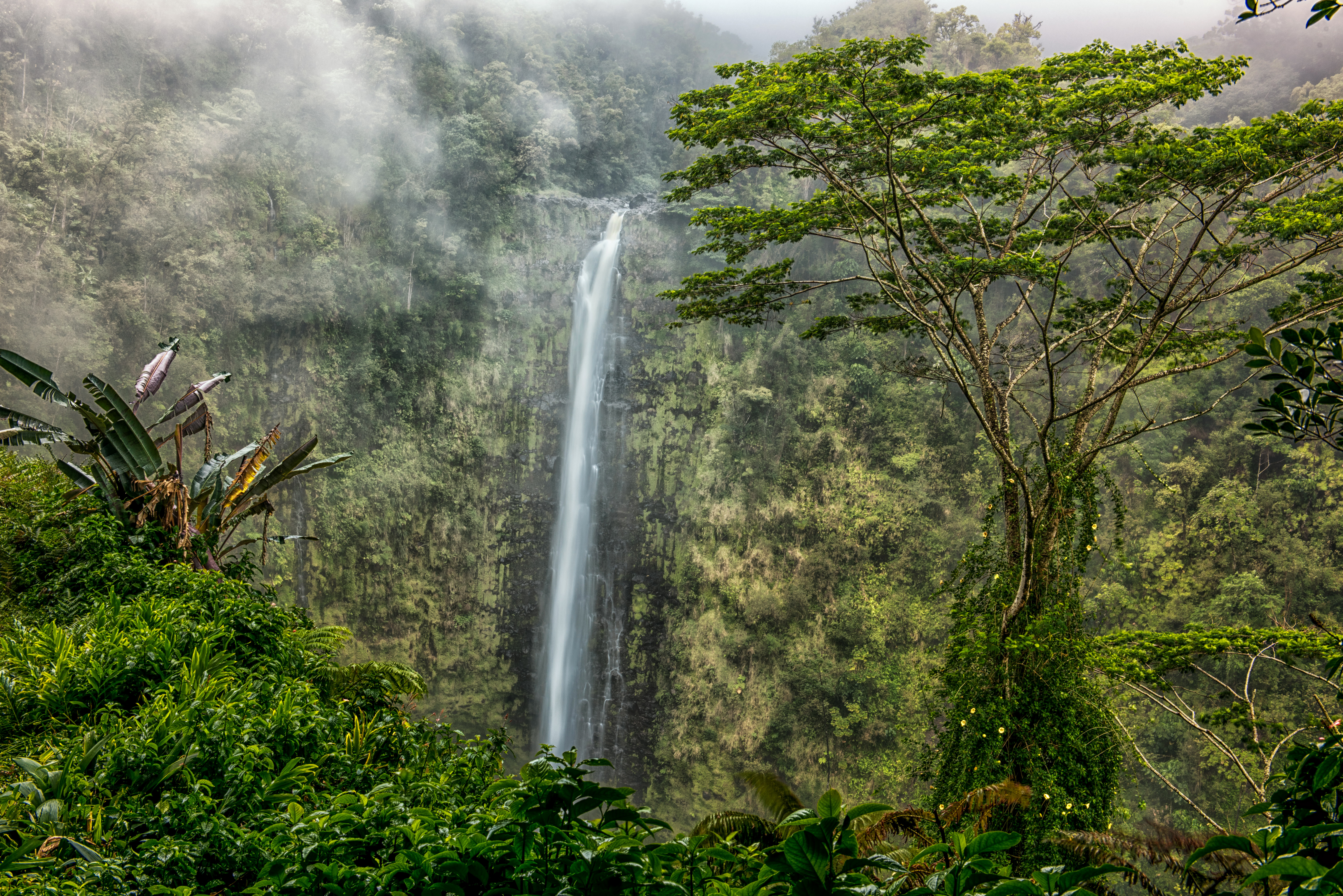 Free download wallpaper Waterfalls, Waterfall, Forest, Tree, Earth, Jungle on your PC desktop