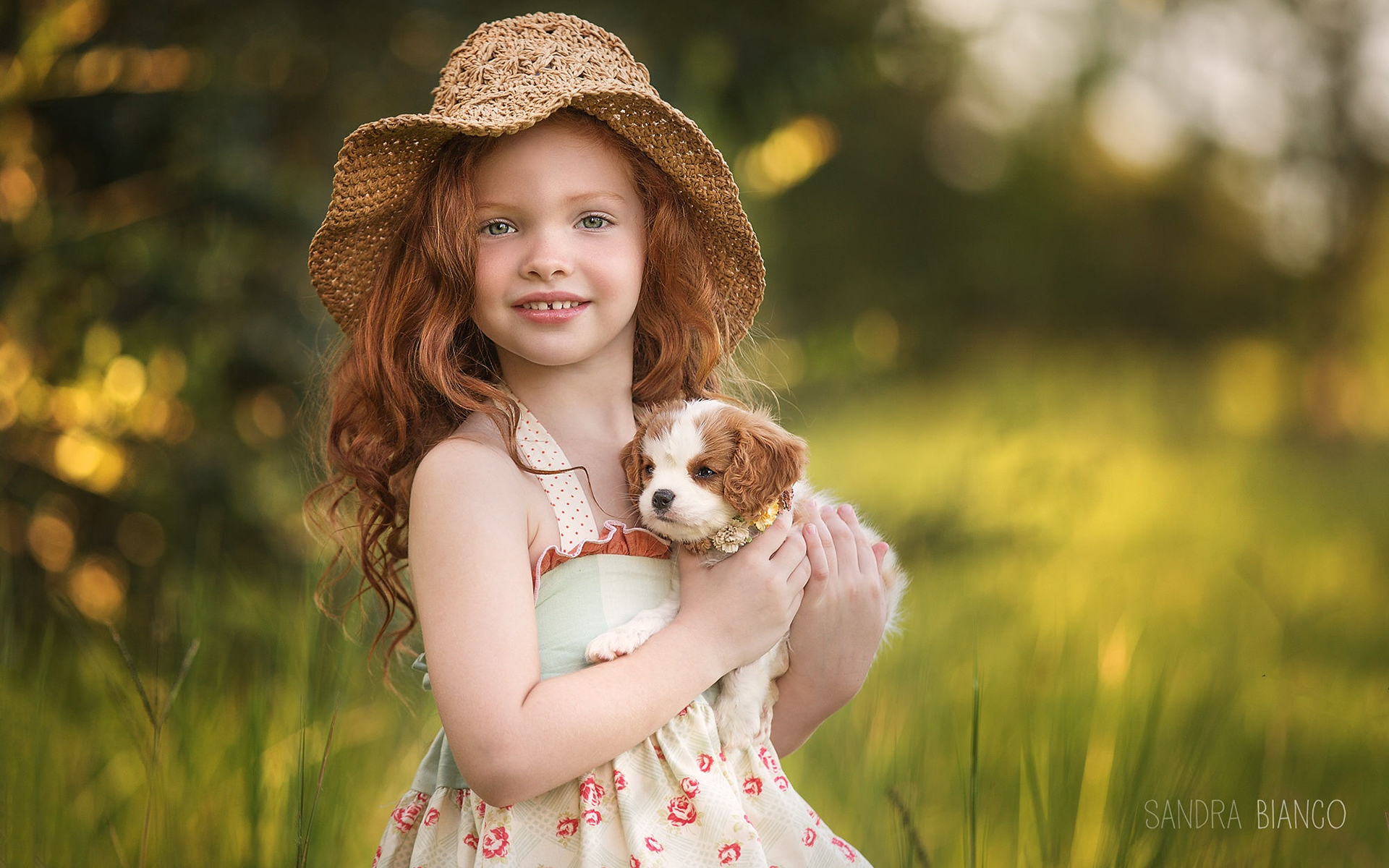 Téléchargez gratuitement l'image Chien, Chiot, Enfant, Photographie sur le bureau de votre PC