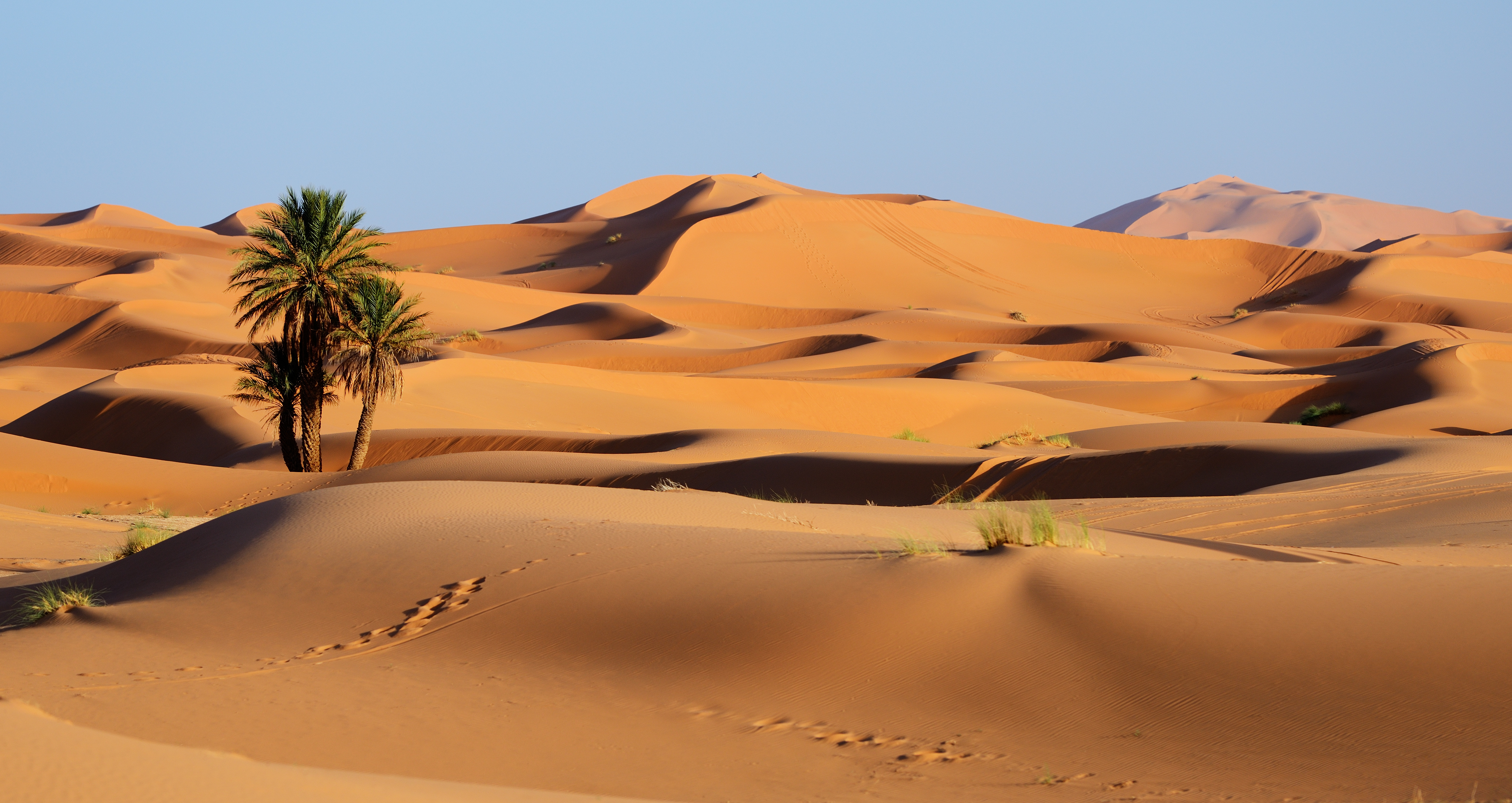 984989画像をダウンロード地球, 荒野, 砂丘, モロッコ, 自然, 砂-壁紙とスクリーンセーバーを無料で
