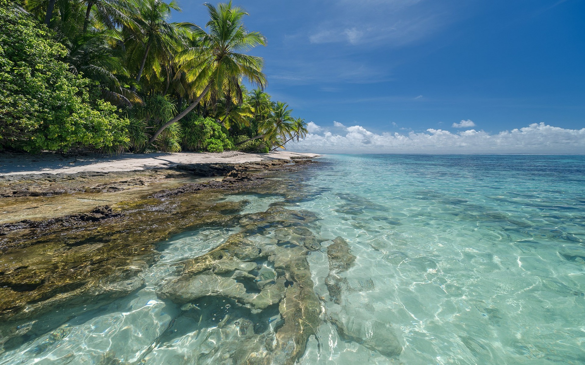 Baixe gratuitamente a imagem Paisagem, Mar, Palmeira, Ilha, Tropical, Terra/natureza na área de trabalho do seu PC