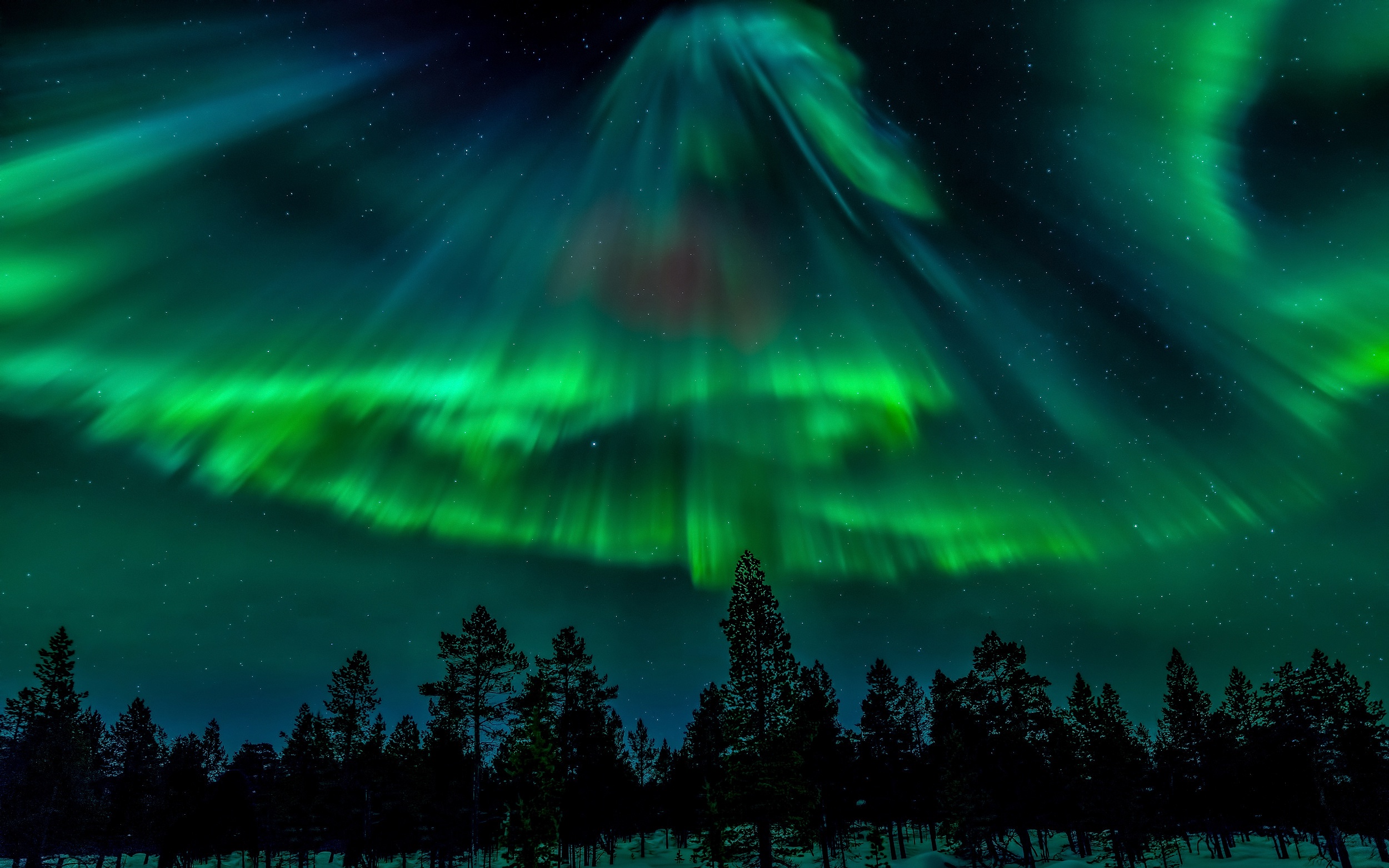 Free download wallpaper Winter, Nature, Sky, Stars, Night, Light, Earth, Aurora Borealis on your PC desktop