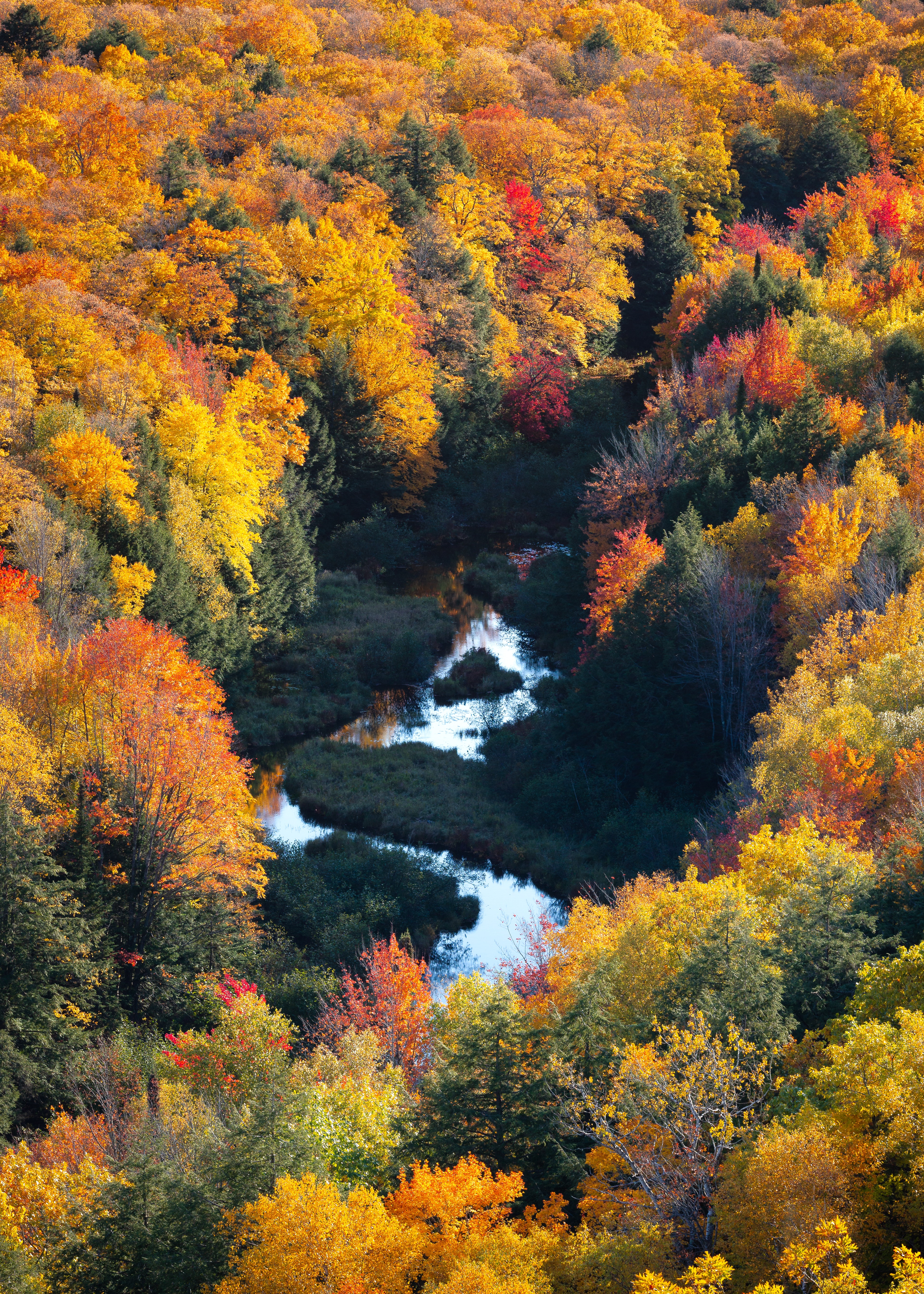Скачать картинку Вид Сверху, Деревья, Река, Лес, Разноцветный, Природа, Осень в телефон бесплатно.