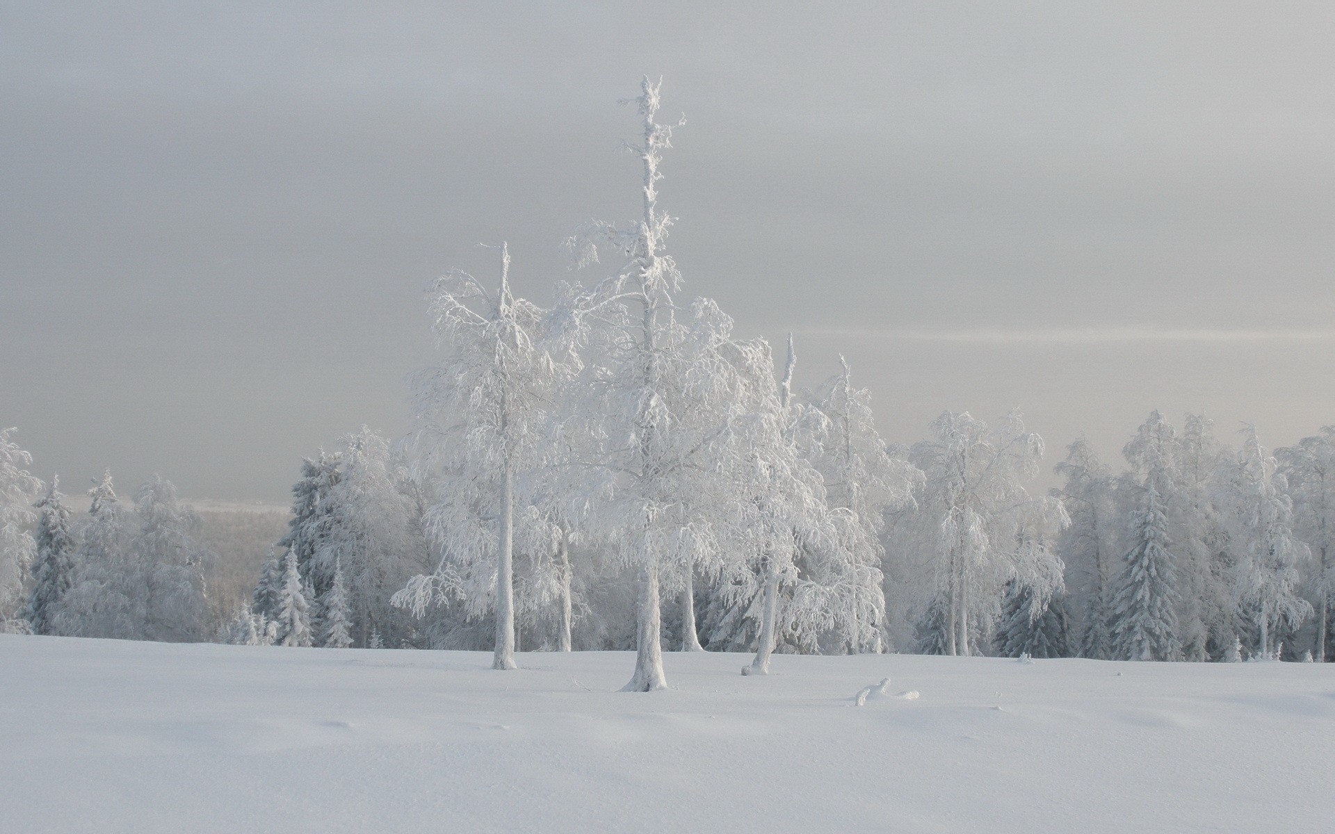 Handy-Wallpaper Winter, Erde/natur kostenlos herunterladen.