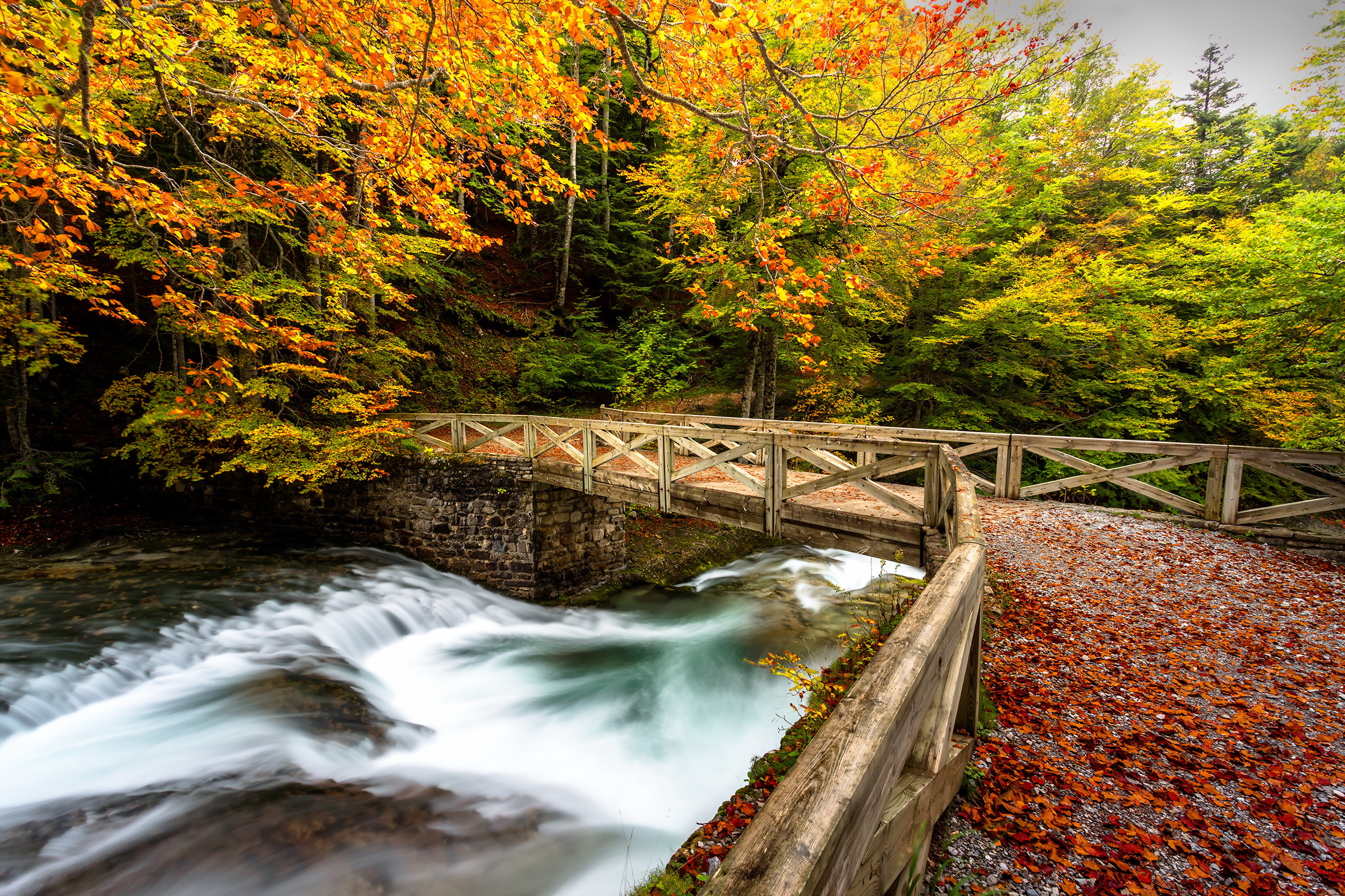 Laden Sie das Herbst, Park, Baum, Fluss, Brücke, Brücken, Menschengemacht-Bild kostenlos auf Ihren PC-Desktop herunter