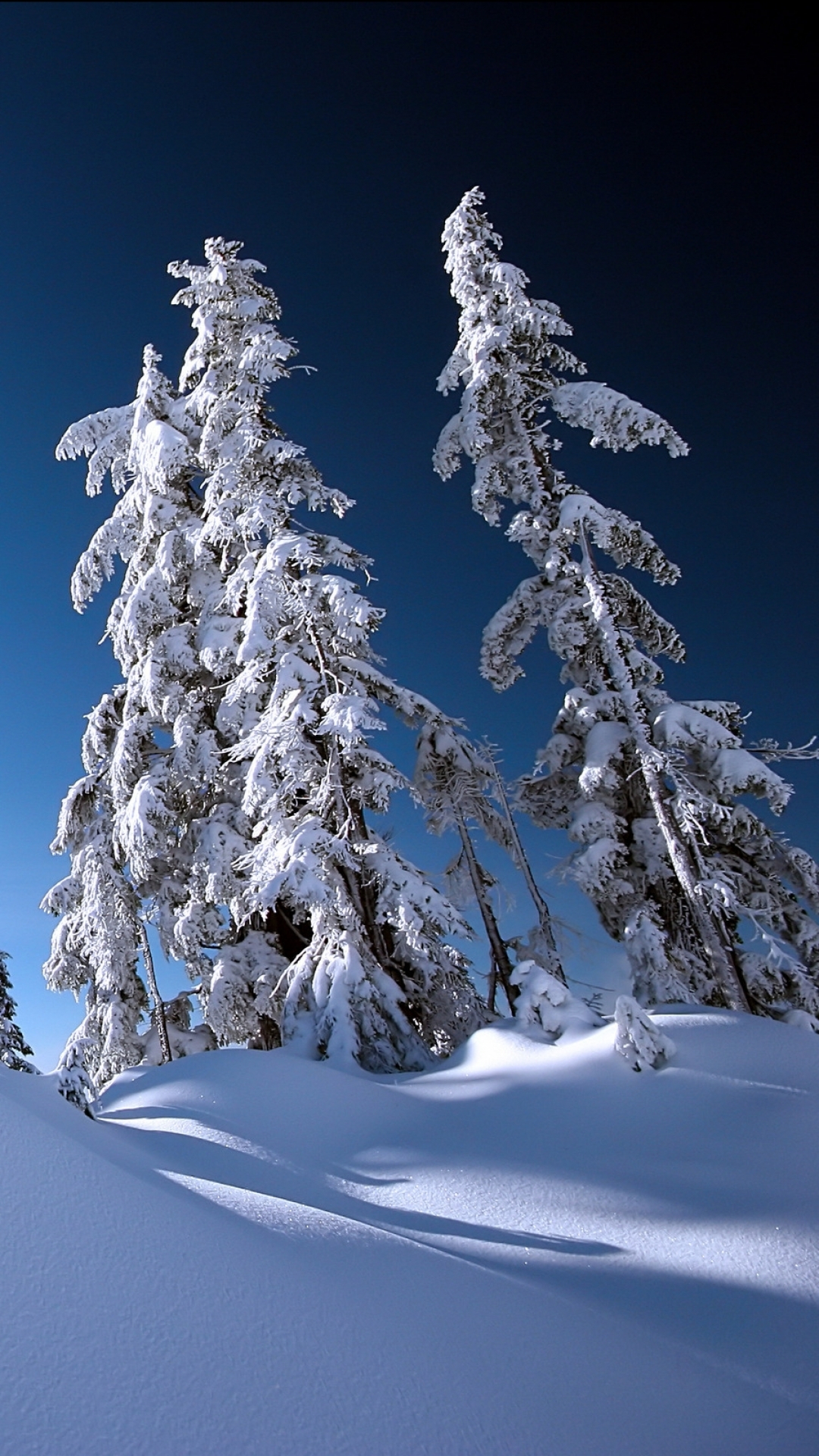 Download mobile wallpaper Winter, Night, Snow, Earth for free.