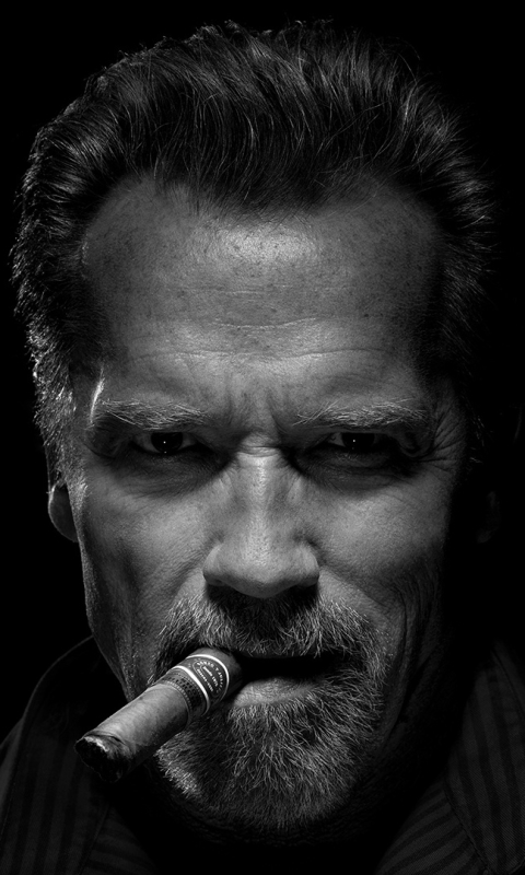 Téléchargez des papiers peints mobile Arnold Schwarzenegger, Visage, Américain, Noir Blanc, Célébrités, Noir & Blanc, Acteur, Cigare, Acteur De Cinéma gratuitement.