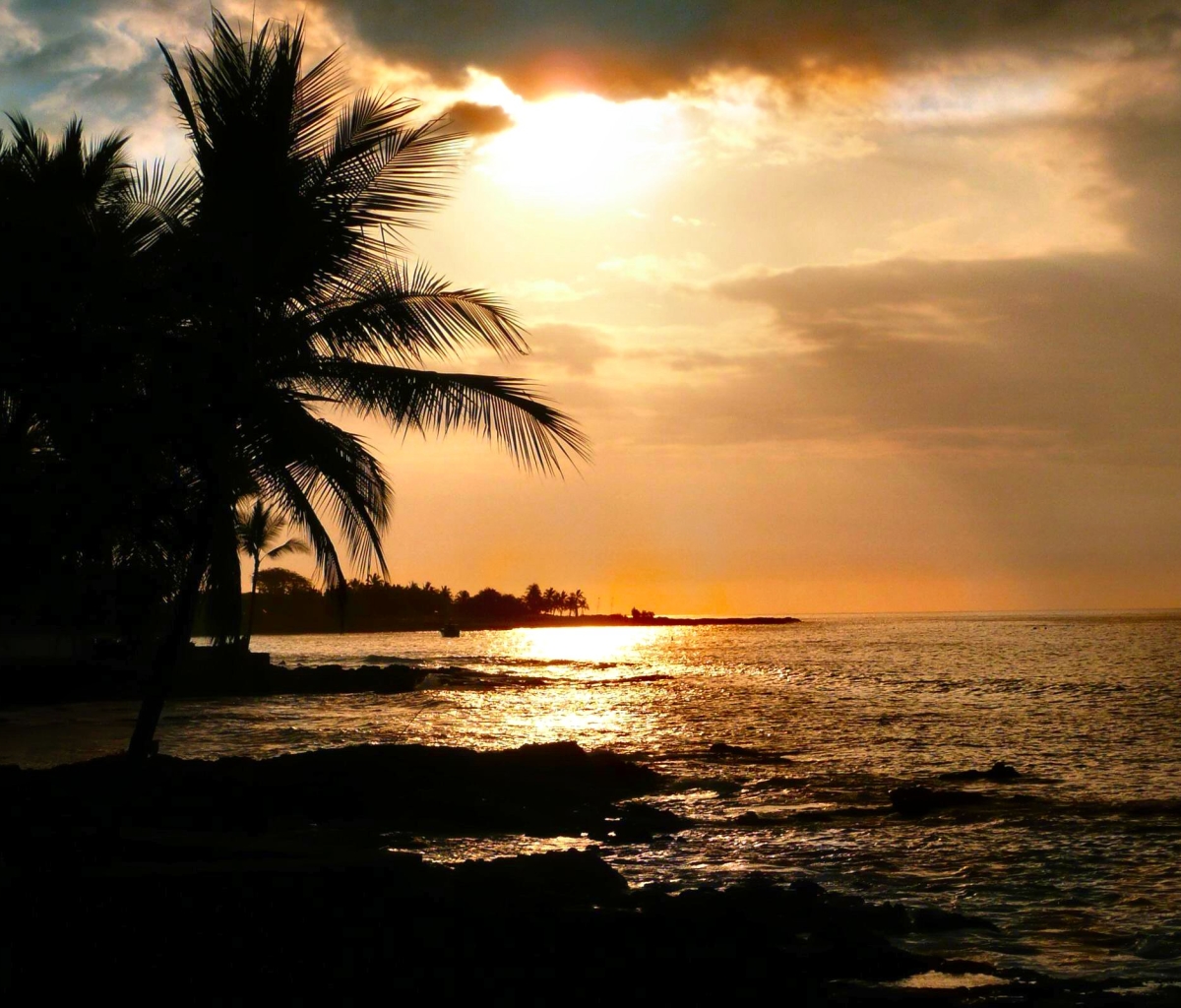 Free download wallpaper Sunset, Sea, Twilight, Beach, Horizon, Earth, Tropical, Cloud, Palm Tree on your PC desktop