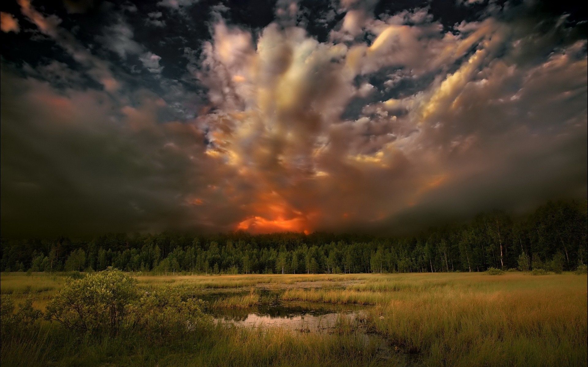 Descarga gratuita de fondo de pantalla para móvil de Cielo, Sol, Campo, Nube, Tierra/naturaleza.