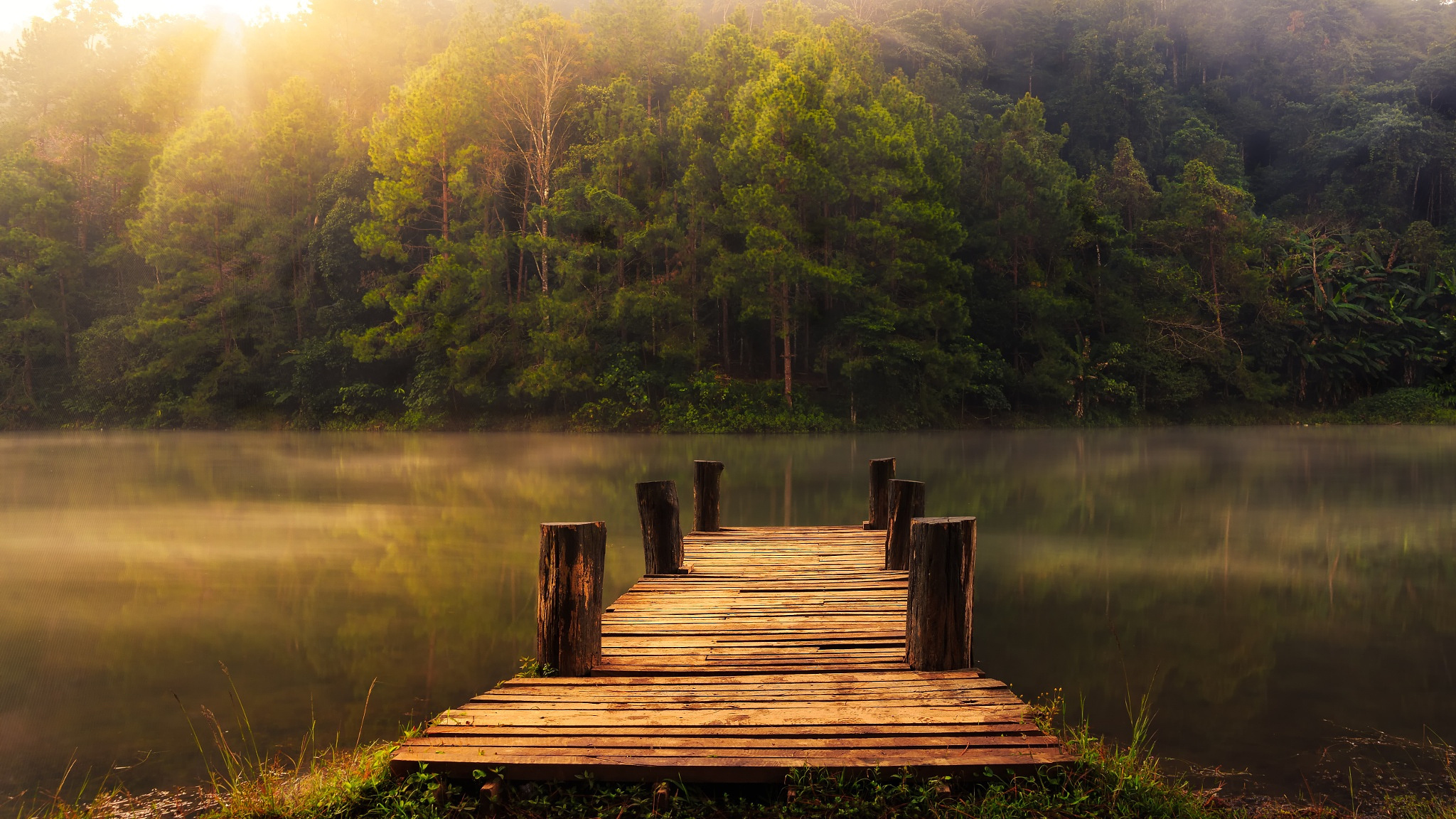 Laden Sie das See, Seebrücke, Wald, Baum, Nebel, Sonnig, Menschengemacht, Spiegelung-Bild kostenlos auf Ihren PC-Desktop herunter