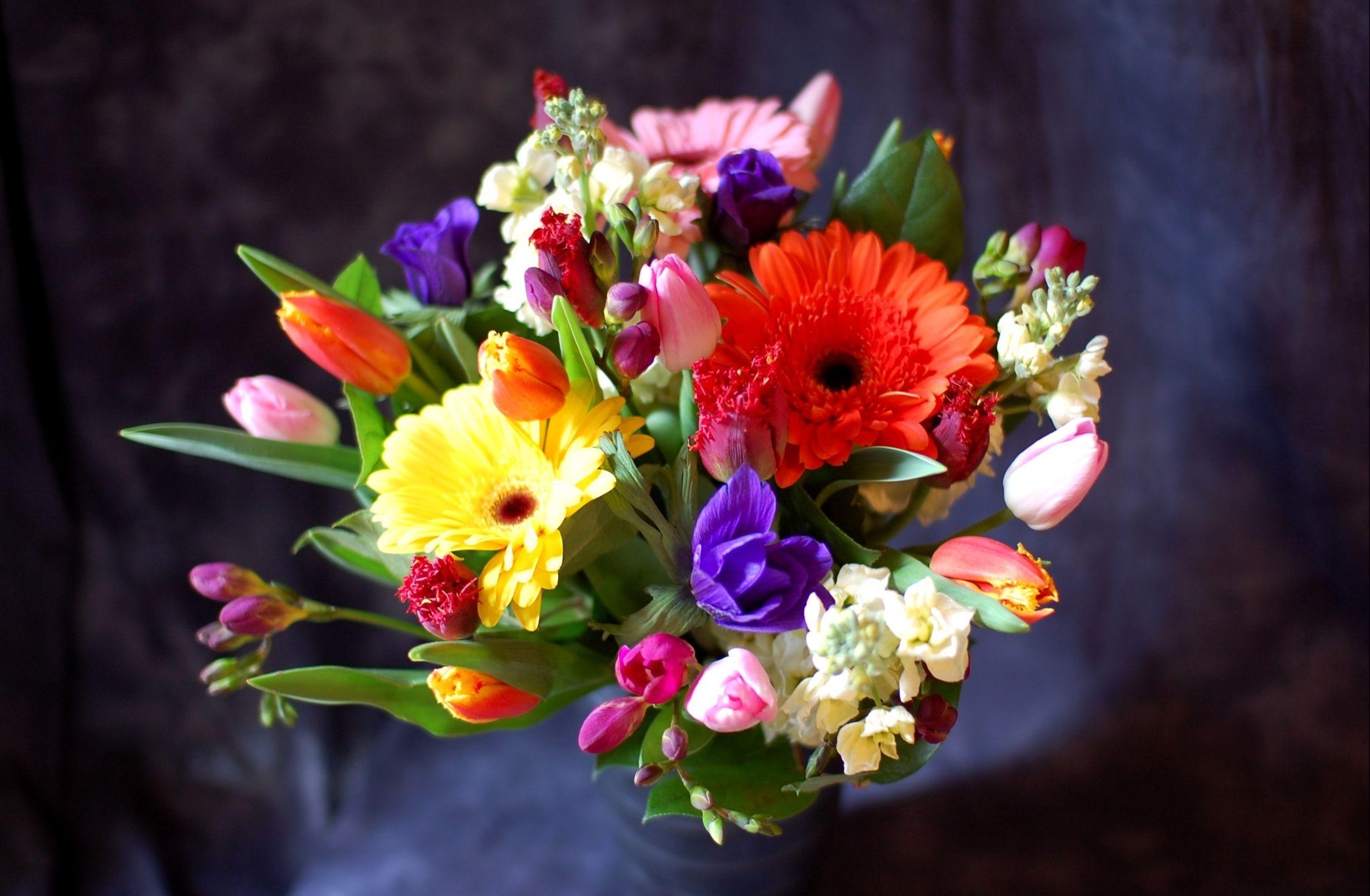 tulips, gerberas, flowers, registration, typography, bouquet, composition