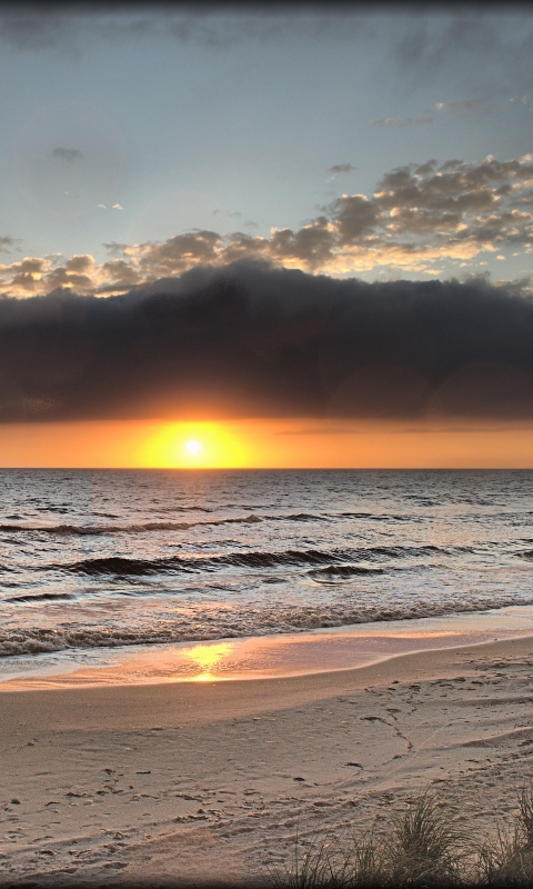 Descarga gratuita de fondo de pantalla para móvil de Playa, Tierra/naturaleza.