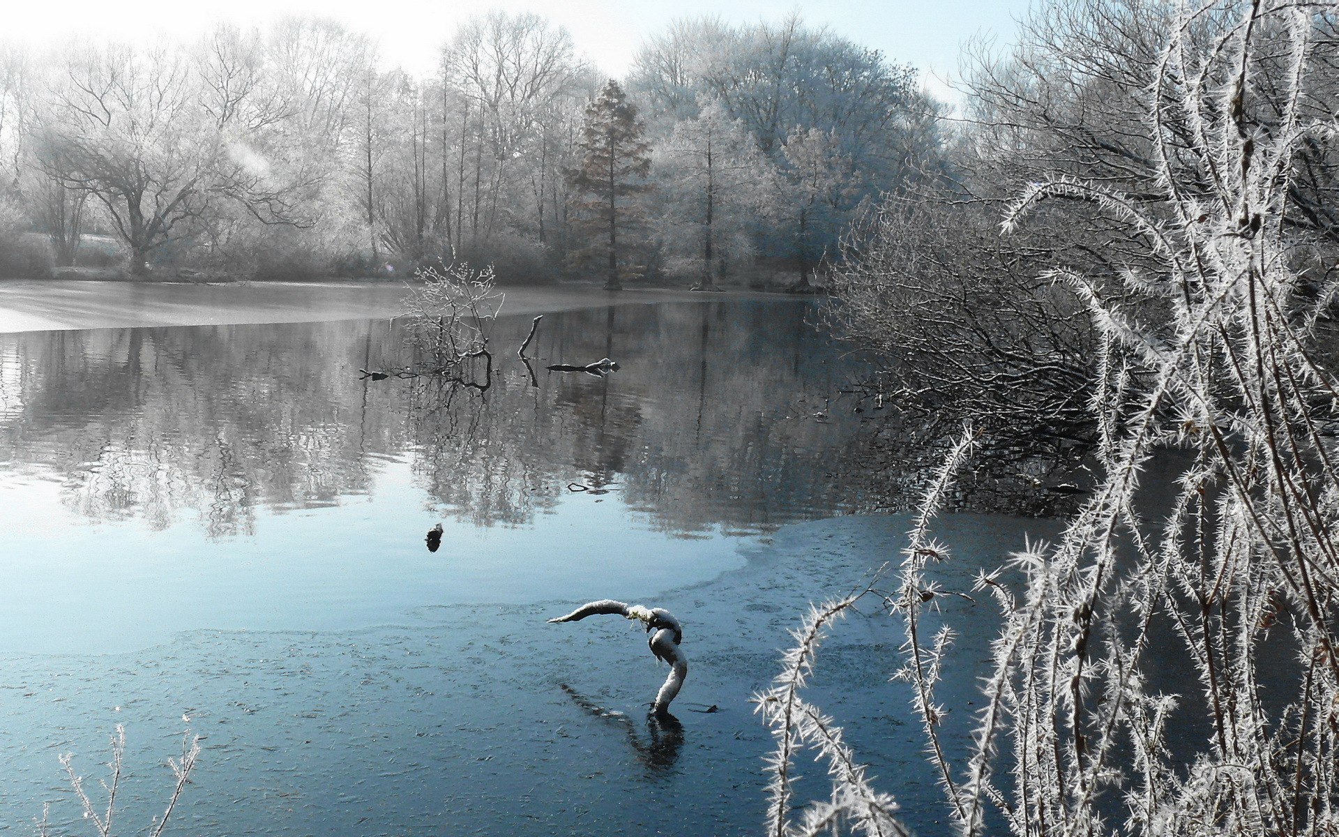 Free download wallpaper Landscape, Winter, Lake, Reflection, Fall, Earth, Frost, Scenic on your PC desktop