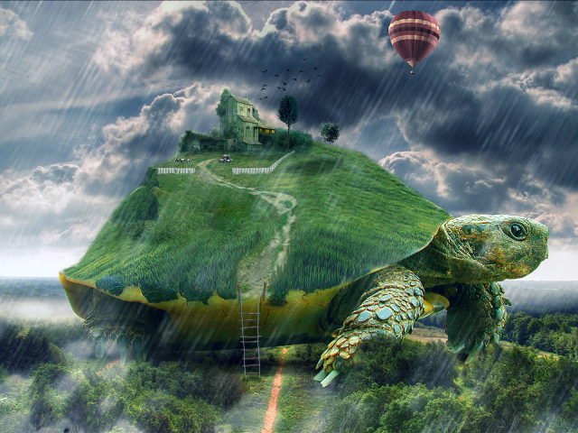 Free download wallpaper Animal, Artistic, Turtle, Psychedelic, Cgi, Manipulation, Trippy on your PC desktop