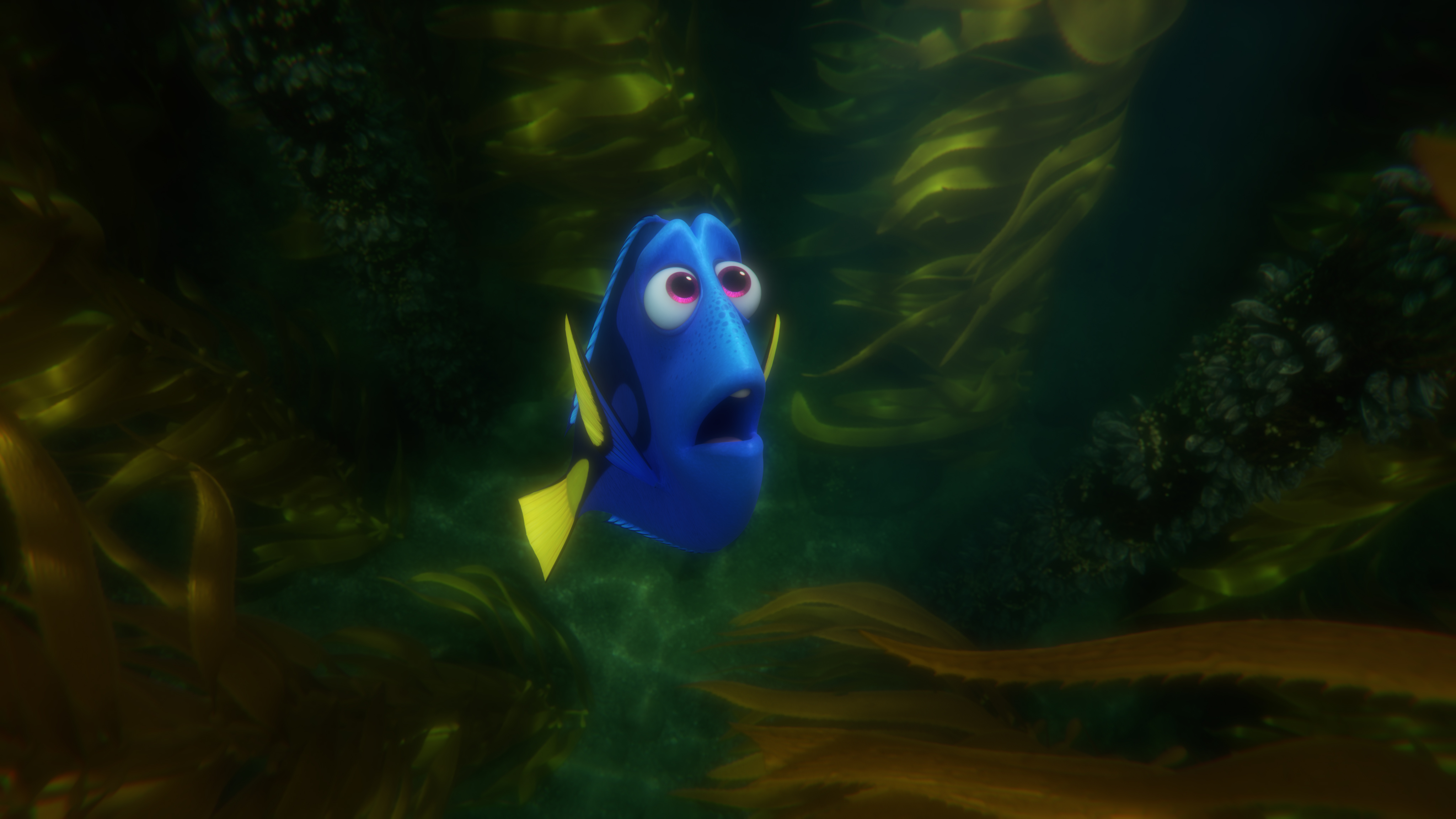 movie, finding dory, dory (finding nemo) HD wallpaper