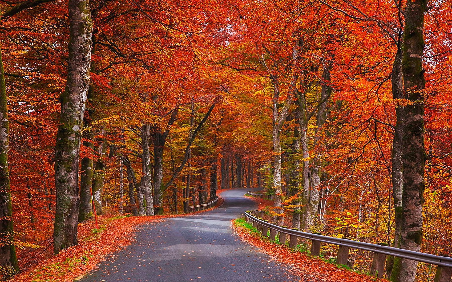 Baixe gratuitamente a imagem Outono, Estrada, Feito Pelo Homem na área de trabalho do seu PC