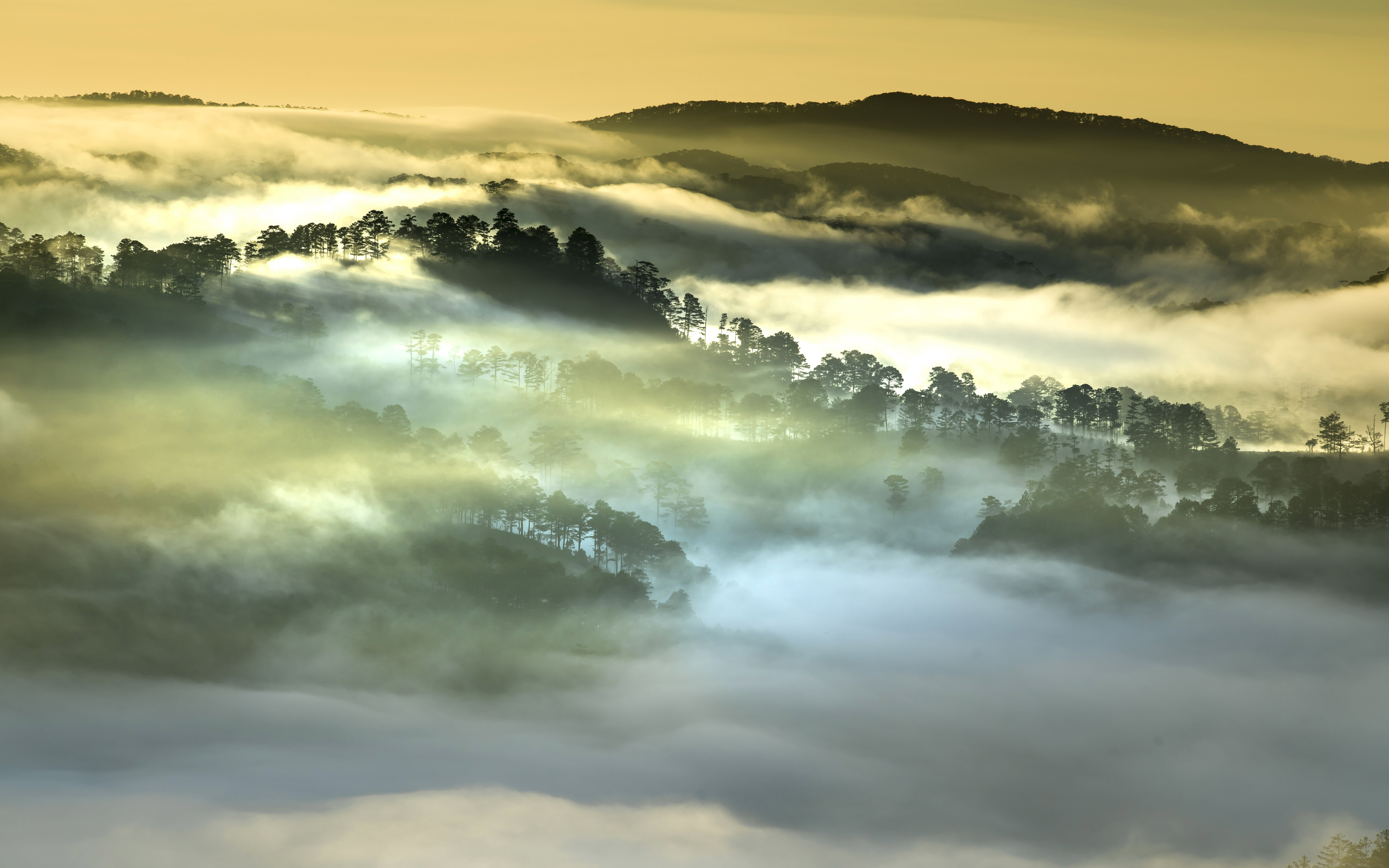 Download mobile wallpaper Landscape, Nature, Forest, Fog, Earth, Hill, Vietnam for free.