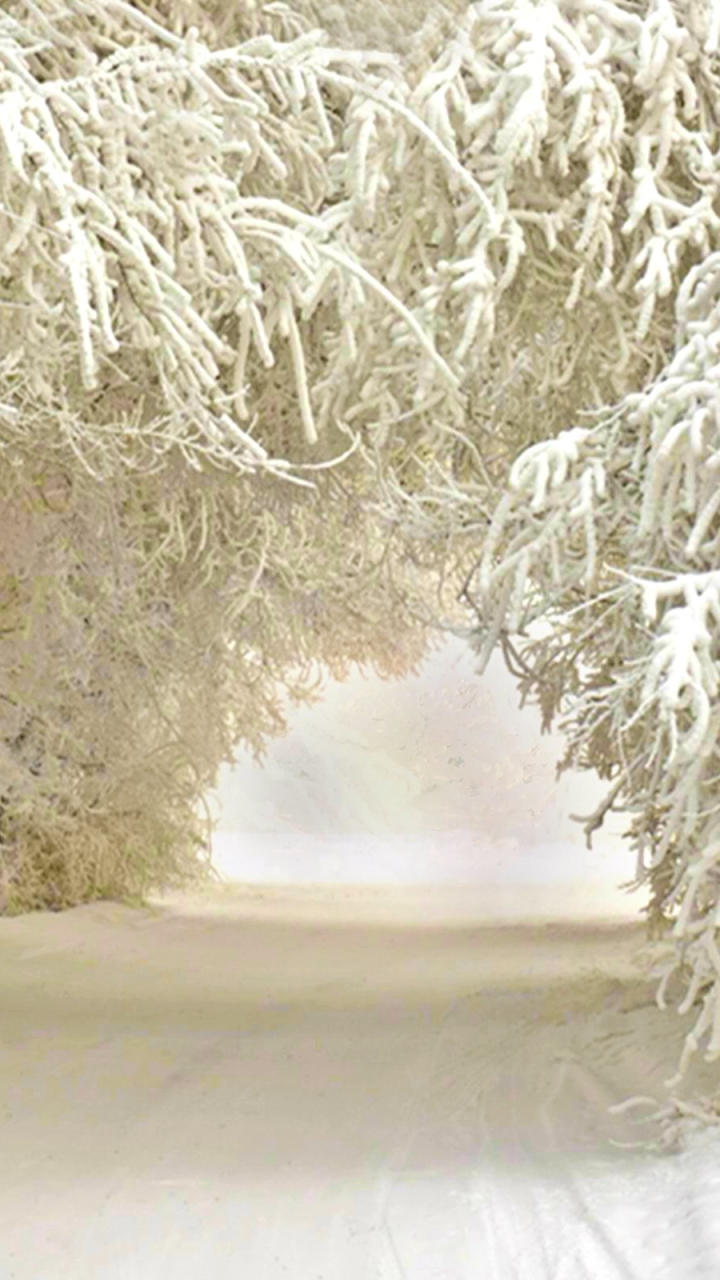 Download mobile wallpaper Winter, Nature, Snow, Road, Earth for free.