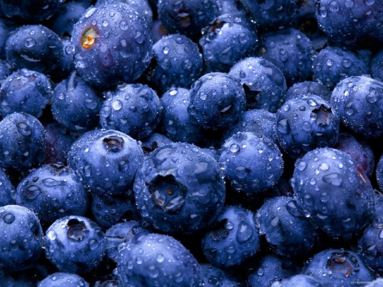 Free download wallpaper Food, Blueberry, Fruit on your PC desktop