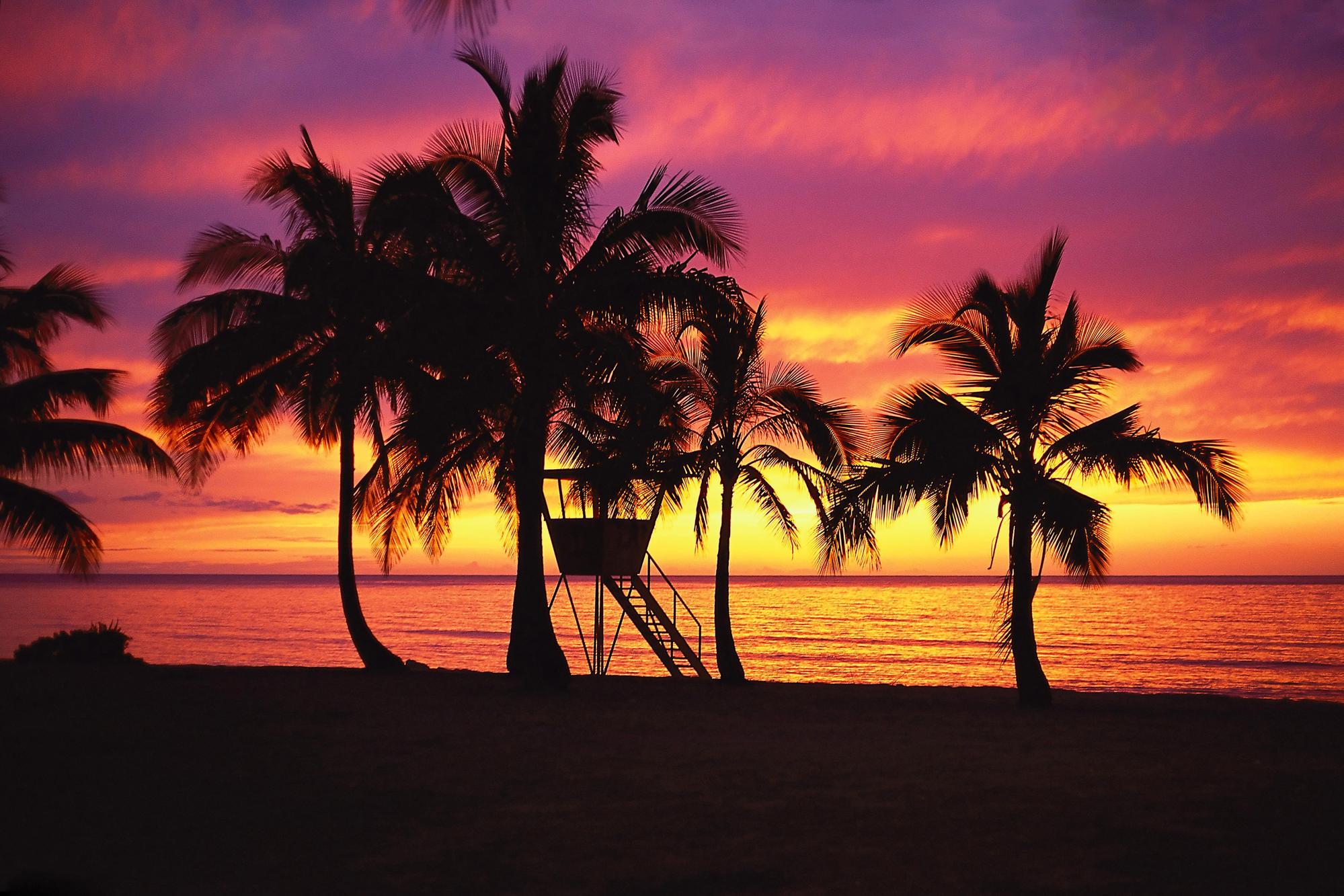 Free download wallpaper Sunset, Sky, Beach, Silhouette, Earth, Tropical, Photography, Palm Tree on your PC desktop
