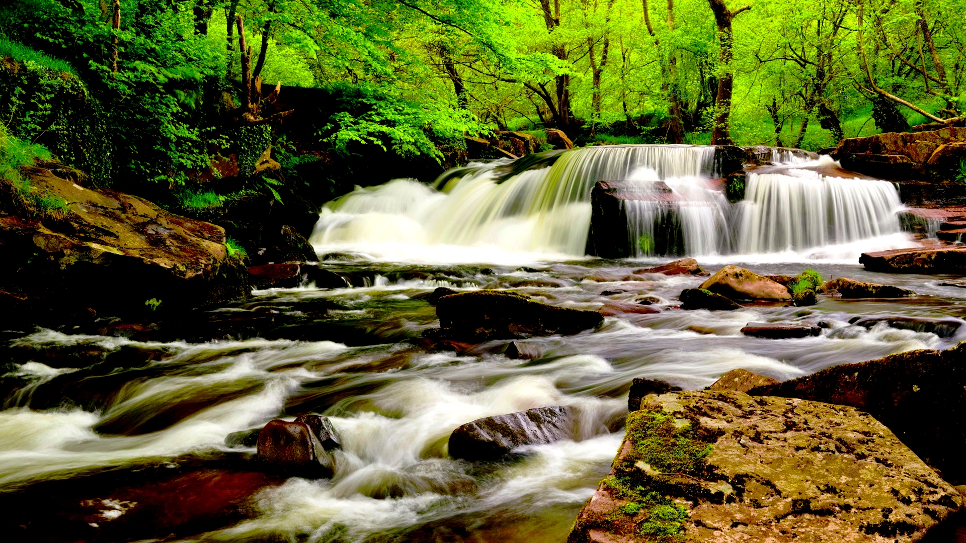 Download mobile wallpaper Waterfall, Waterfalls, Forest, Nature, Earth for free.