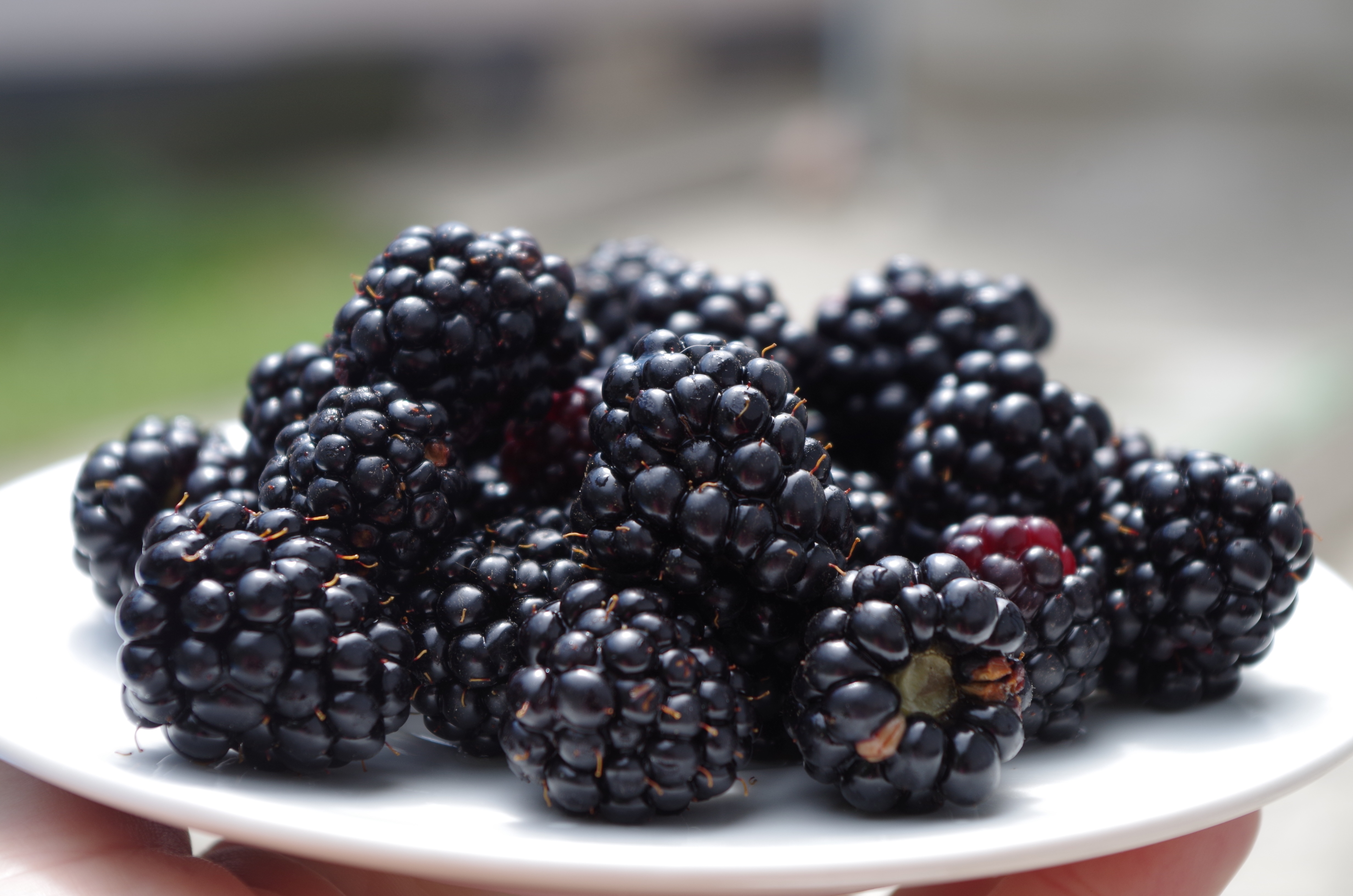 Free download wallpaper Food, Blackberry, Berry, Fruit on your PC desktop