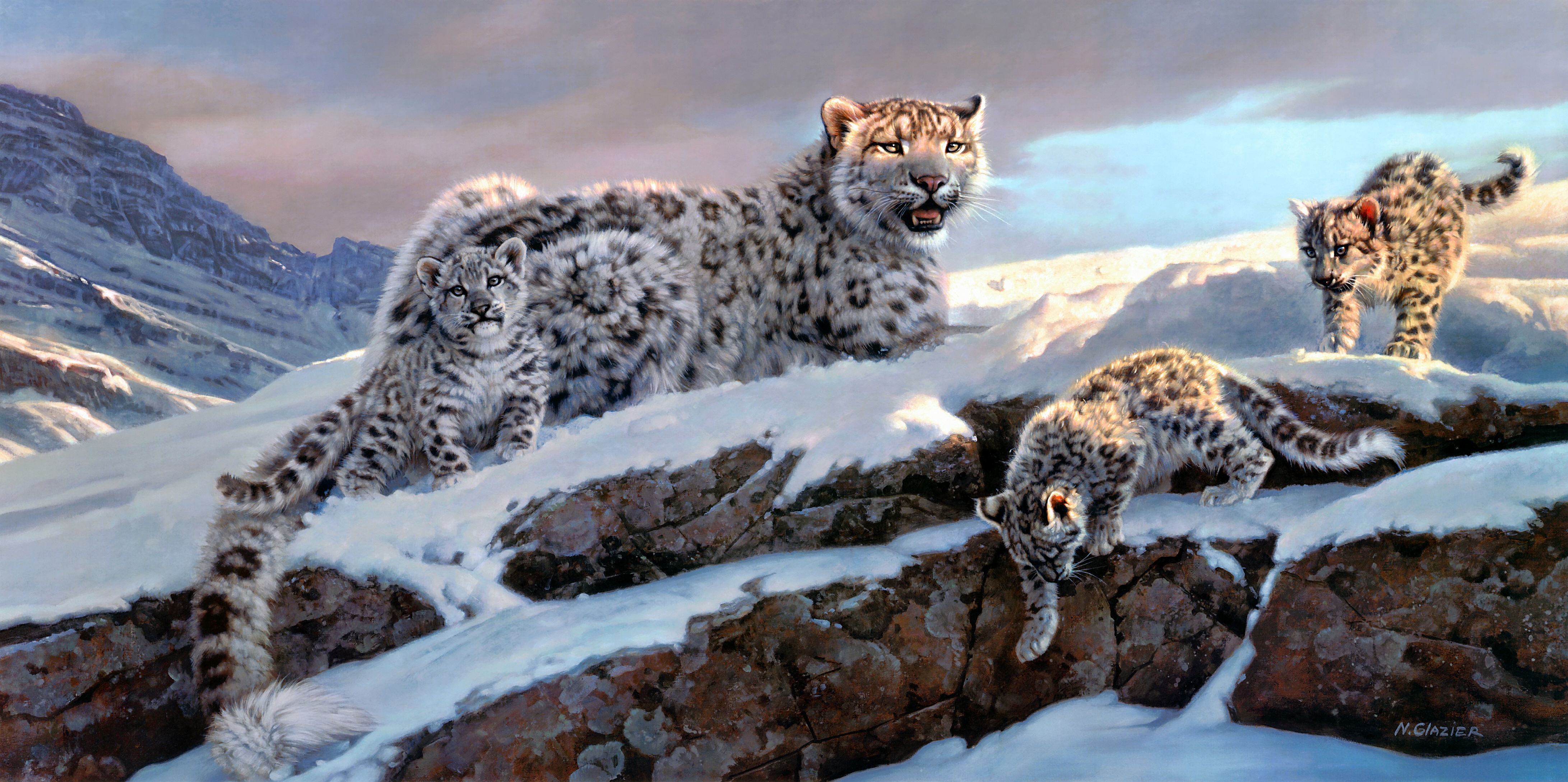 Laden Sie das Tiere, Winter, Katzen, Schneeleopard-Bild kostenlos auf Ihren PC-Desktop herunter