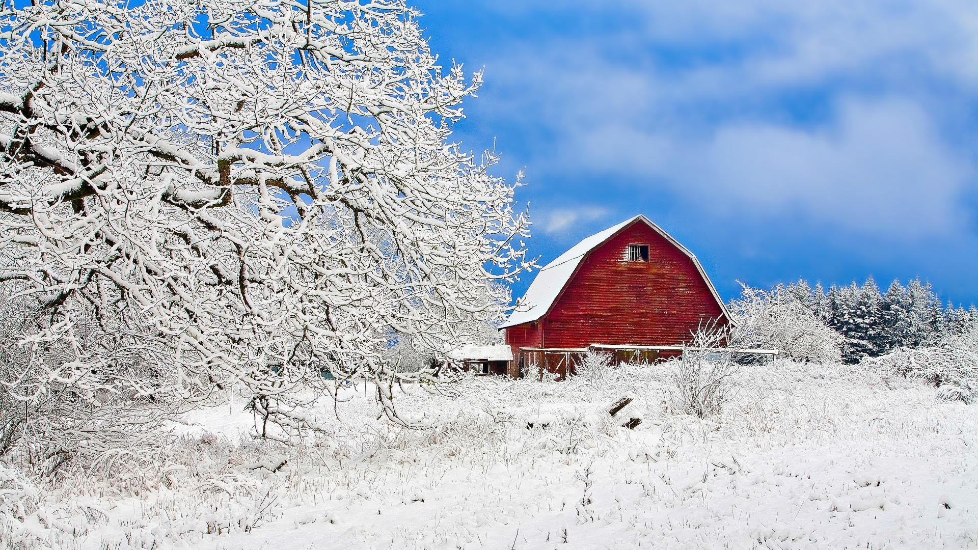 Download mobile wallpaper Snow, Barn, Man Made, Pine Tree for free.