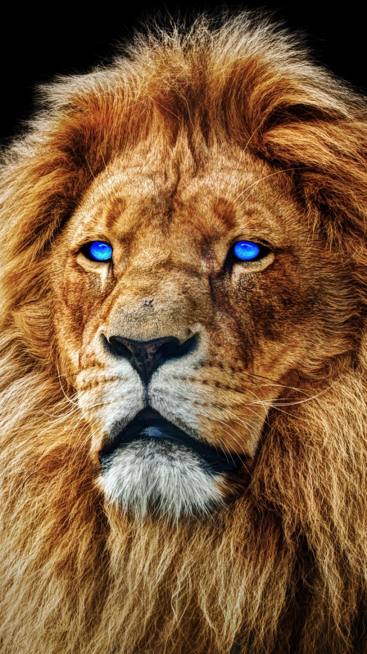 Download mobile wallpaper Cats, Lion, Animal for free.