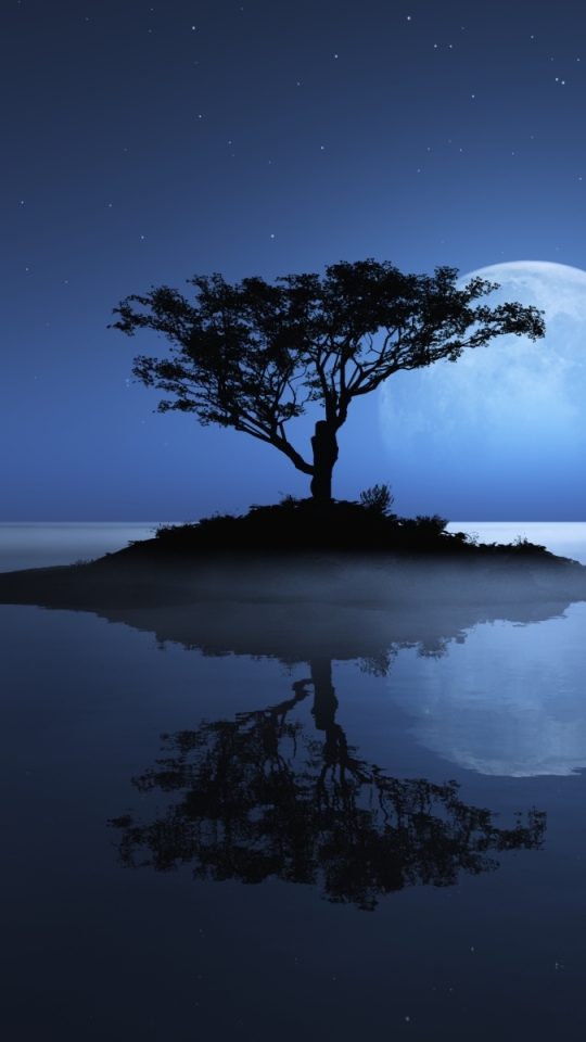 Download mobile wallpaper Water, Trees, Stars, Night, Moon, Tree, Earth, Island for free.