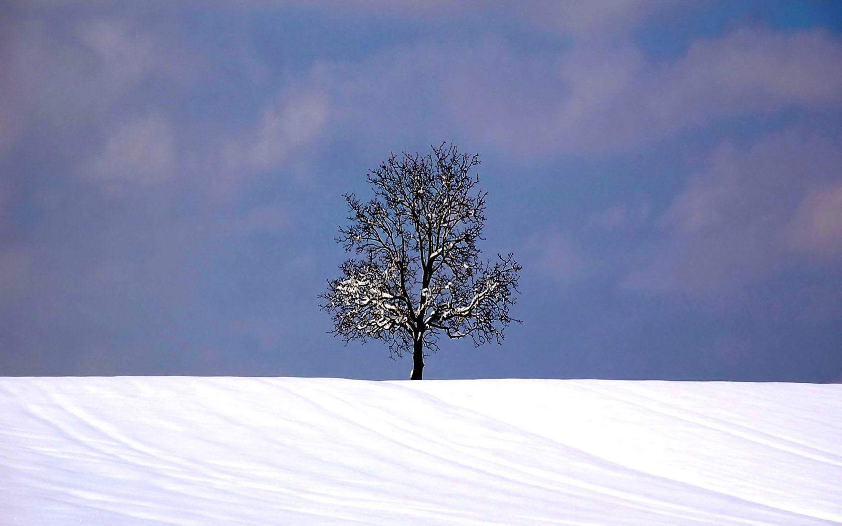 Скачать картинку Зима, Небо, Облака, Снег, Дерево, Земля/природа, Одинокое Дерево в телефон бесплатно.