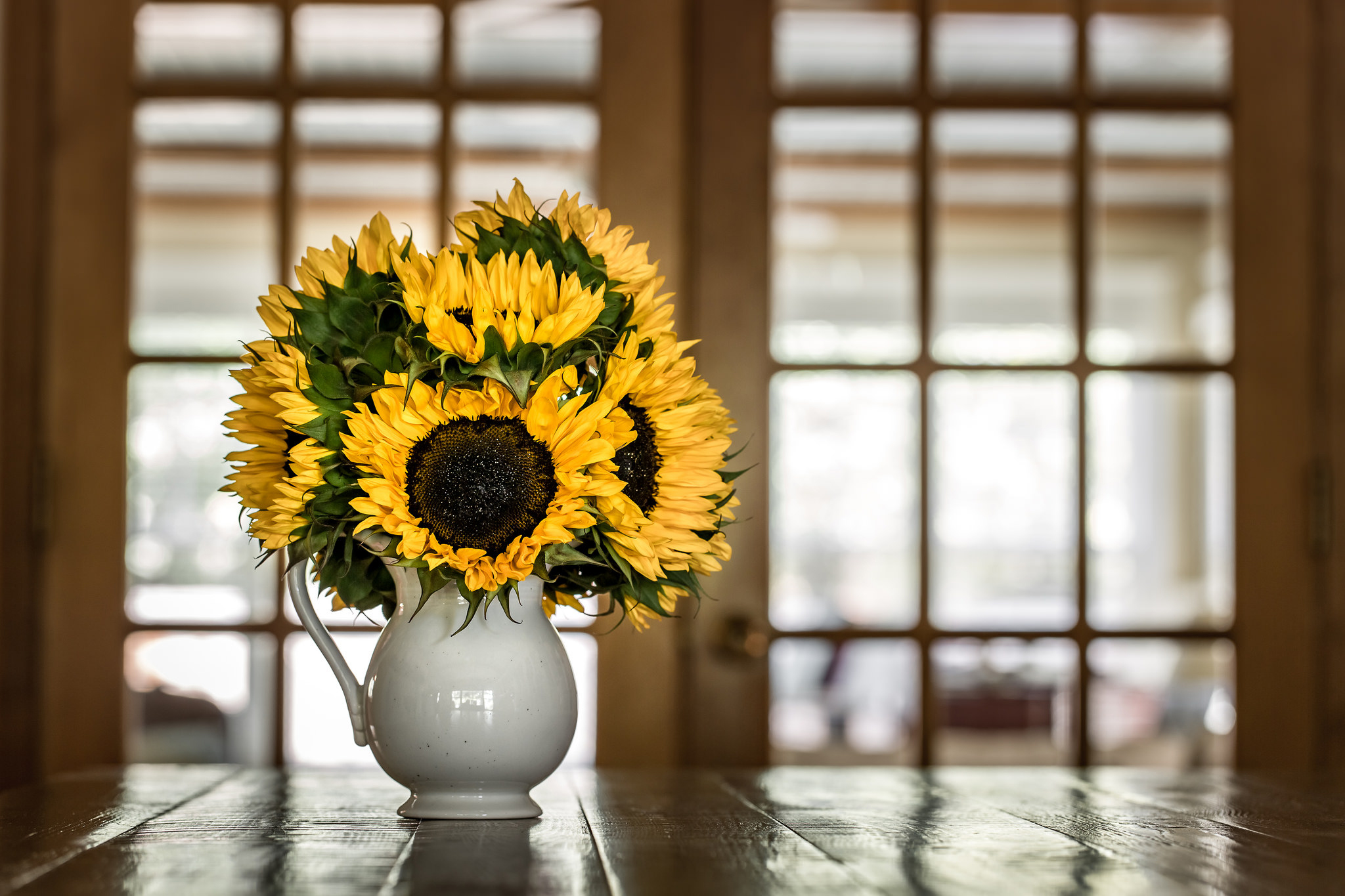 Download mobile wallpaper Still Life, Sunflower, Photography, Yellow Flower, Pitcher for free.