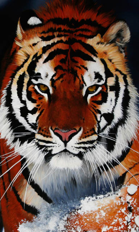 Download mobile wallpaper Cats, Snow, Close Up, Tiger, Animal, Painting, Siberian Tiger for free.