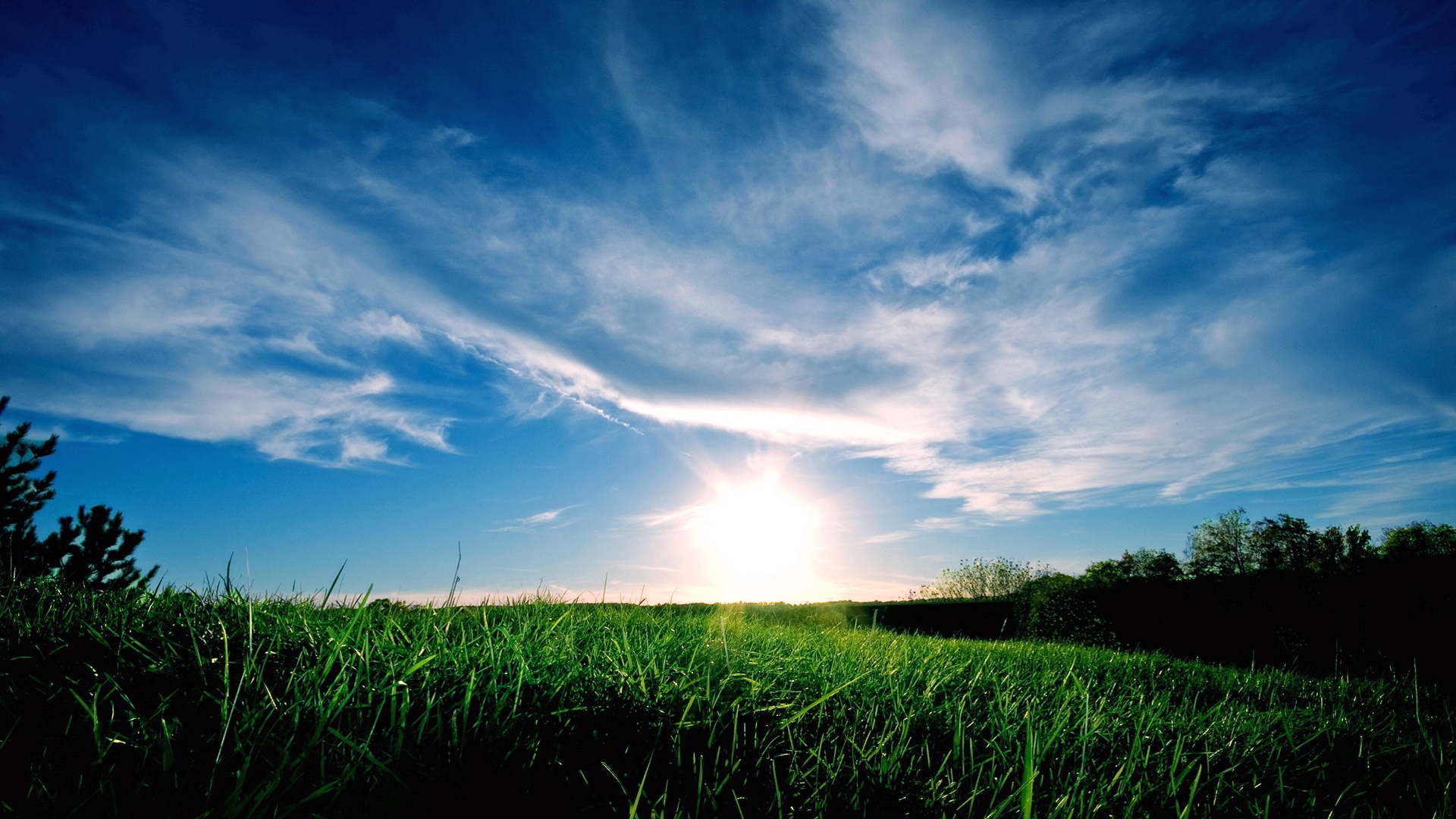 Descarga gratis la imagen Campo, Tierra/naturaleza en el escritorio de tu PC