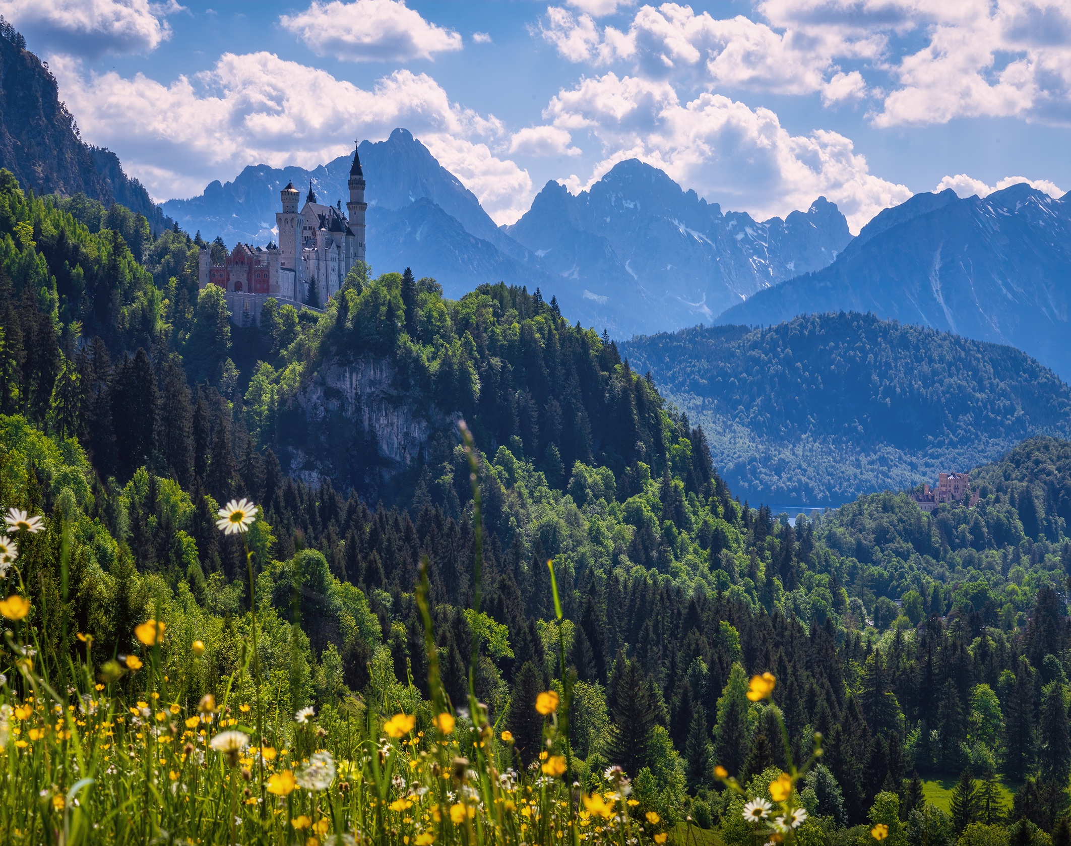 Laden Sie das Schlösser, Blume, Wald, Gebirge, Deutschland, Schloss Neuschwanstein, Menschengemacht, Schloss-Bild kostenlos auf Ihren PC-Desktop herunter