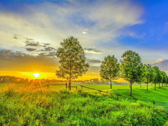 Laden Sie das Landschaft, Sommer, Baum, Himmel, Sonnenuntergang, Erde/natur-Bild kostenlos auf Ihren PC-Desktop herunter
