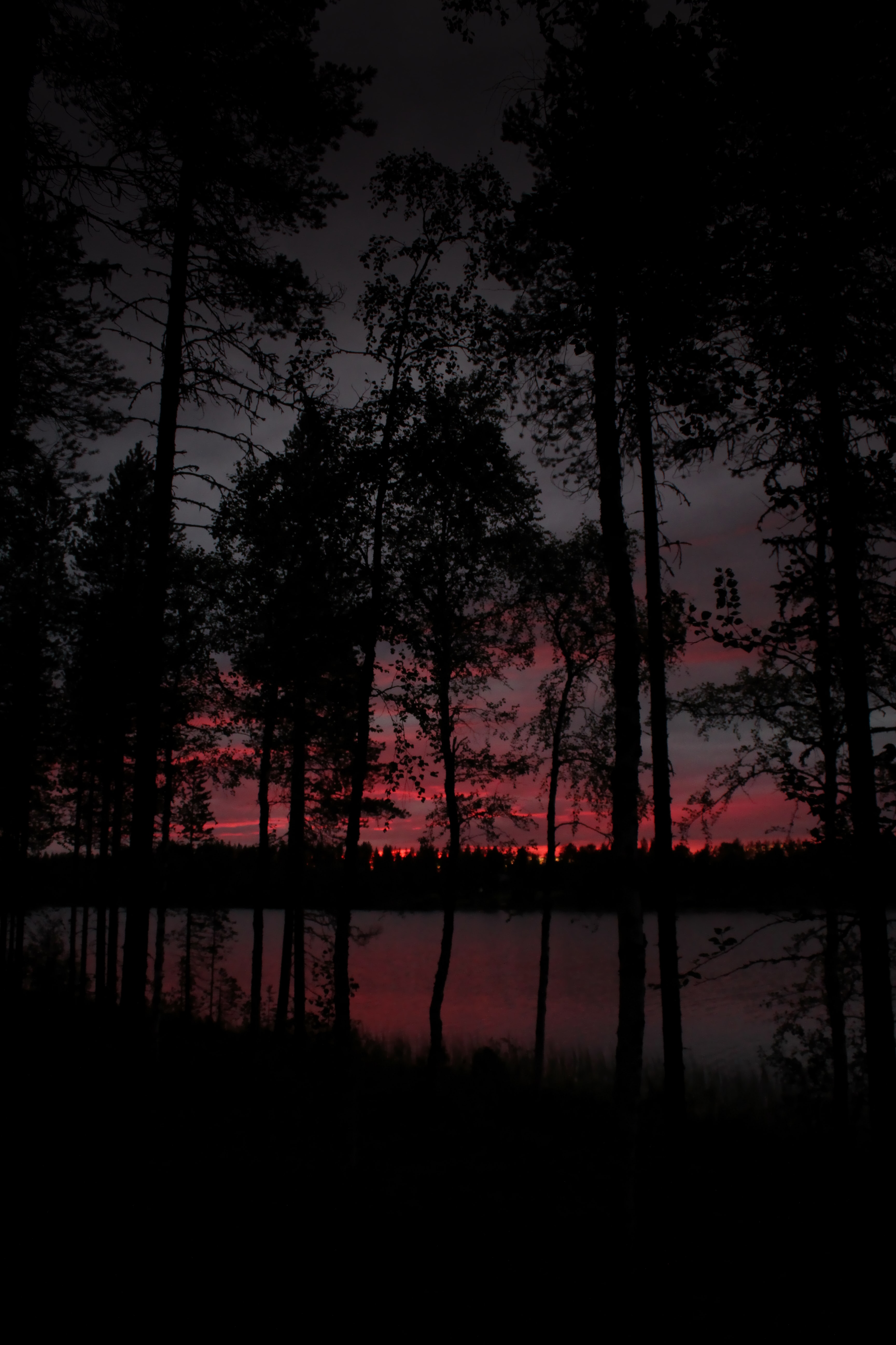 116104 Hintergrundbild herunterladen bäume, see, dunkel, dämmerung, twilight - Bildschirmschoner und Bilder kostenlos