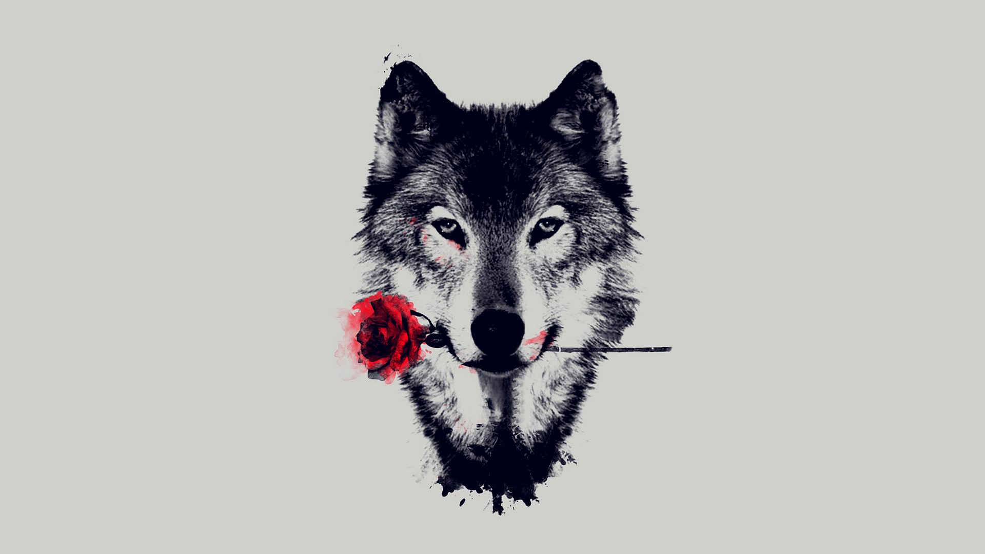 384202 завантажити шпалери вовки, вовк, тварина, червона троянда - заставки і картинки безкоштовно