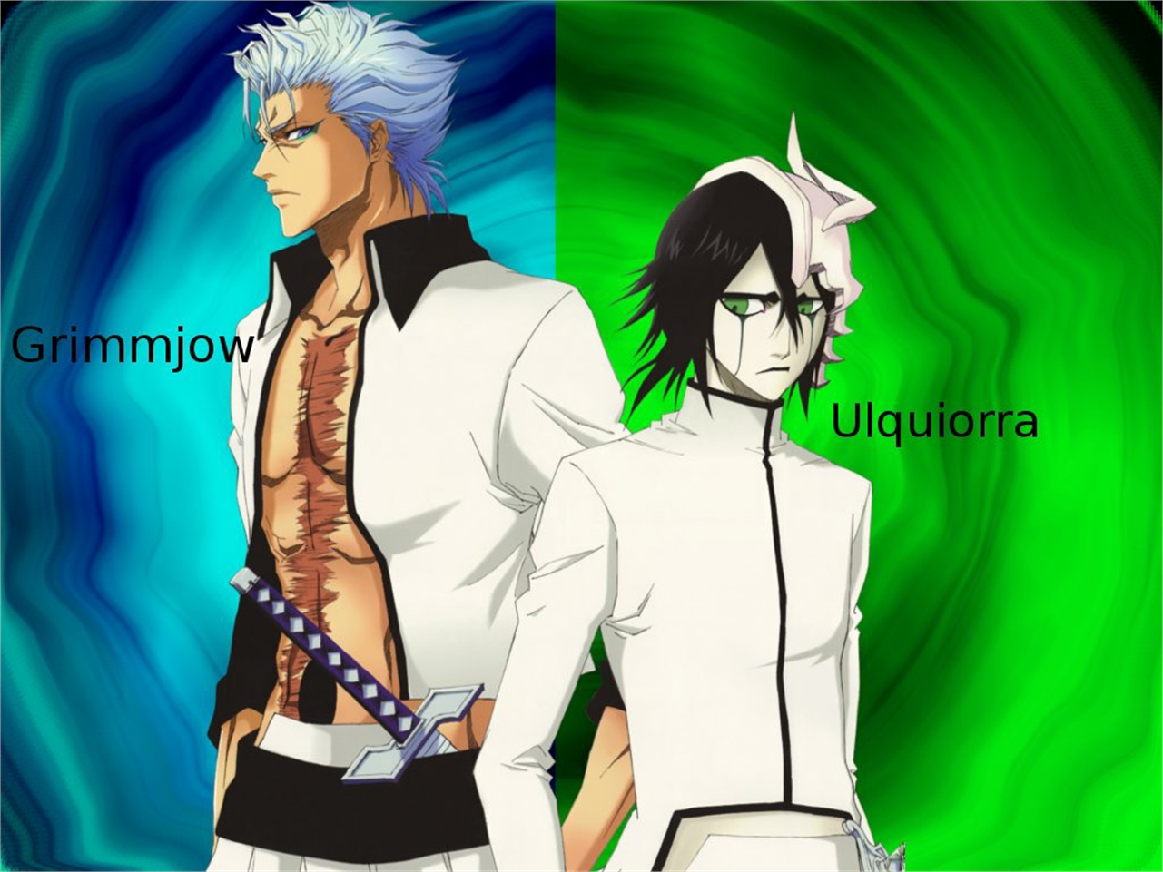 Téléchargez des papiers peints mobile Bleach, Animé, Cifère D'ulquiorra, Grimmjow Jaegerjaquez gratuitement.